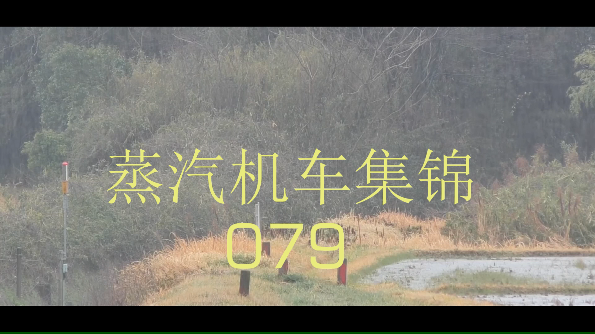 蒸汽机车集锦【079】