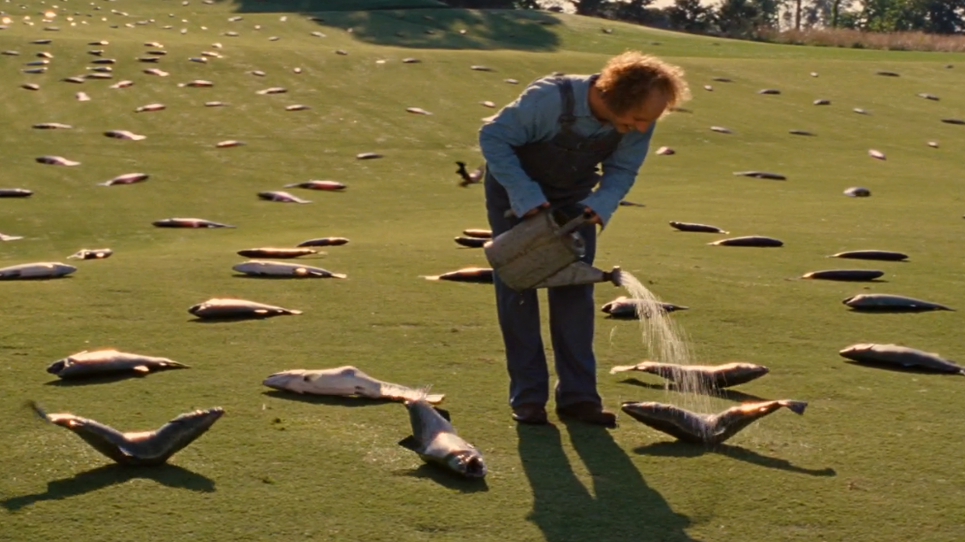 菜鸟冒充科学家,在陆地上种植鱼,想年入百万,厉害了