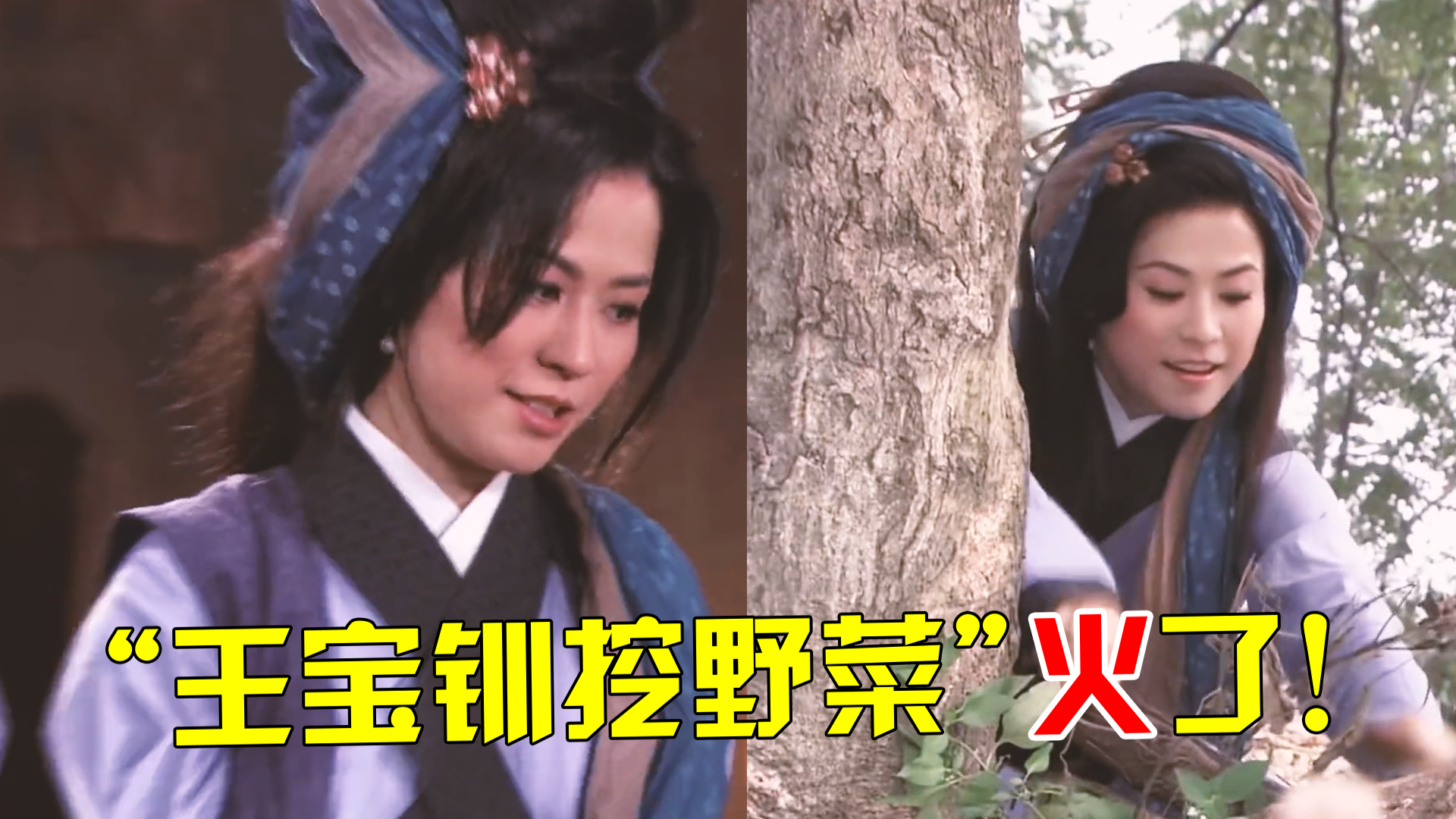 原唱都没想到,自己10年前的歌,因为“王宝钏挖野菜”竟再次爆红