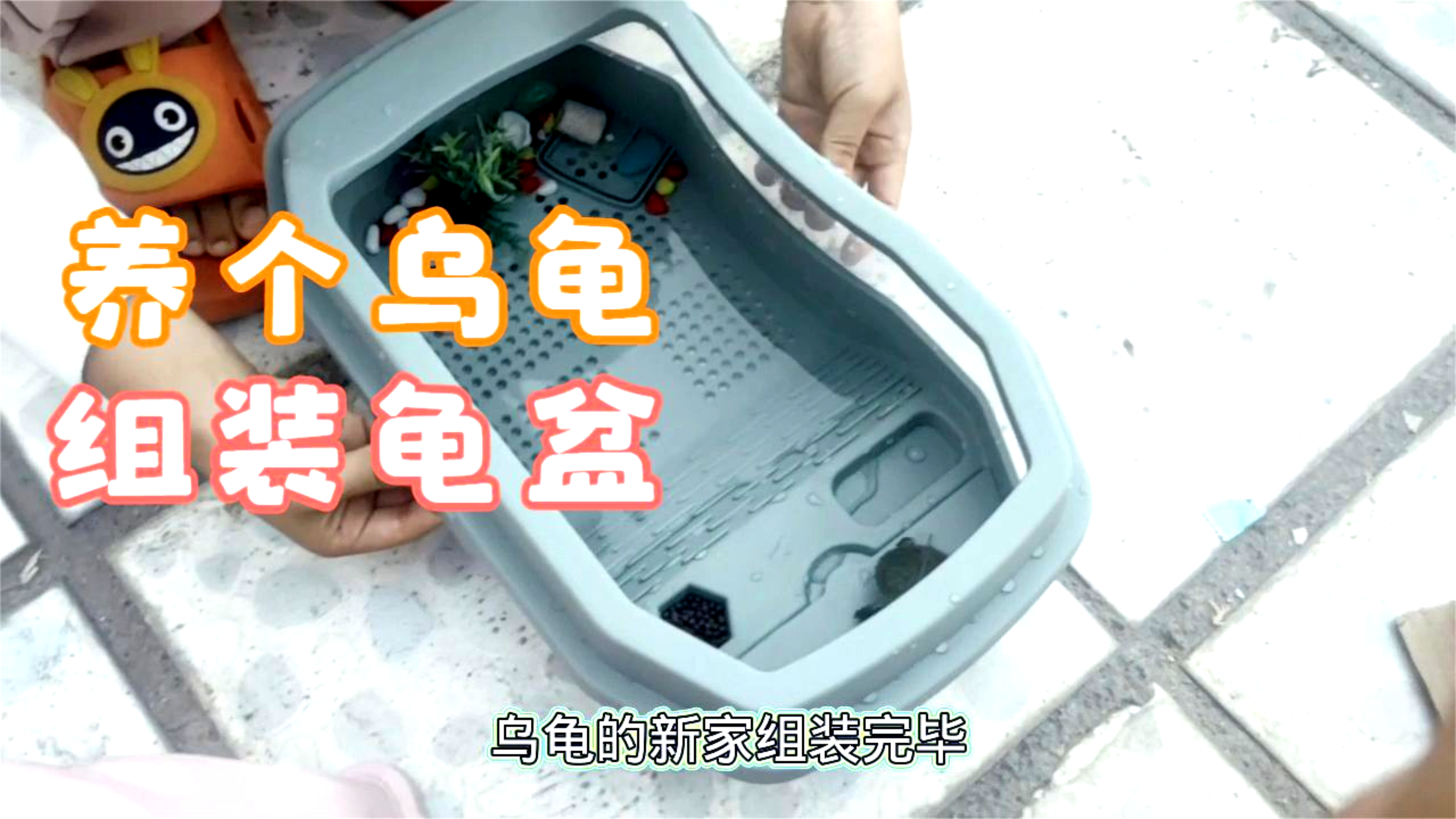 给乌龟买个龟盆,组装好加入清水和龟粮,放上鹅卵石和滤材装饰