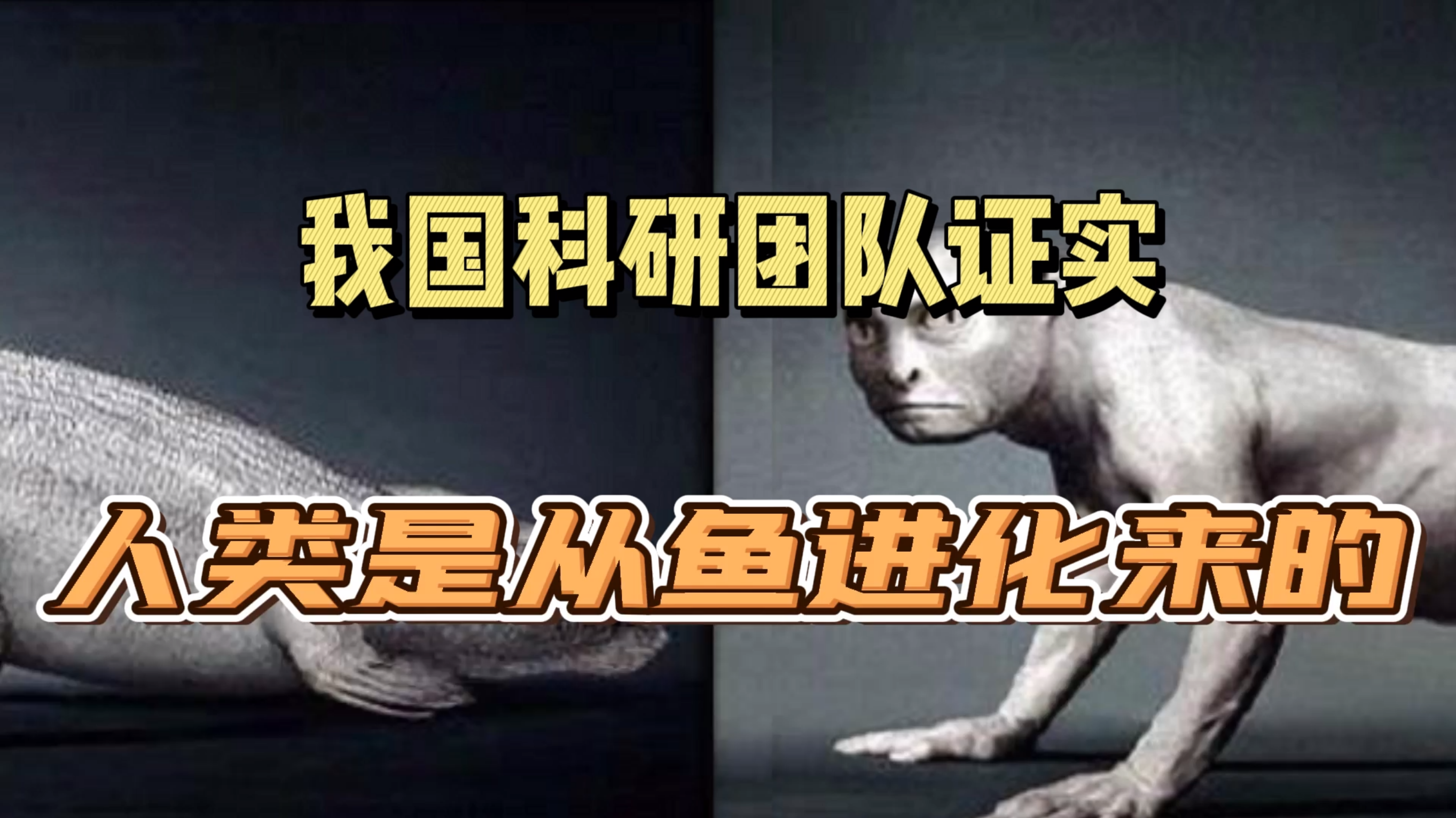 你敢相信吗?人类是从鱼进化来的!