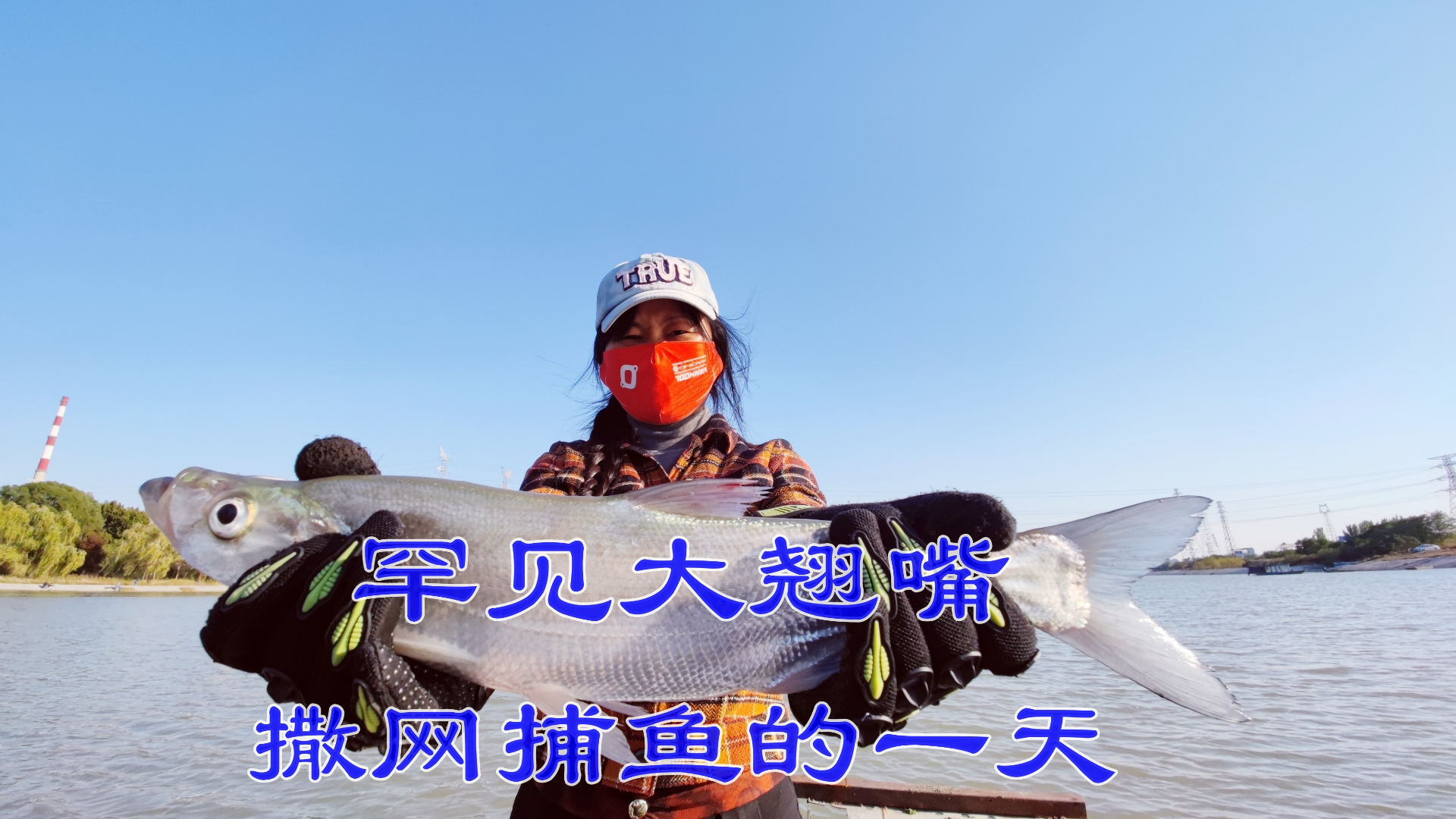 撒网捕鱼遇到罕见大翘嘴鱼,争先抱着拍照留念