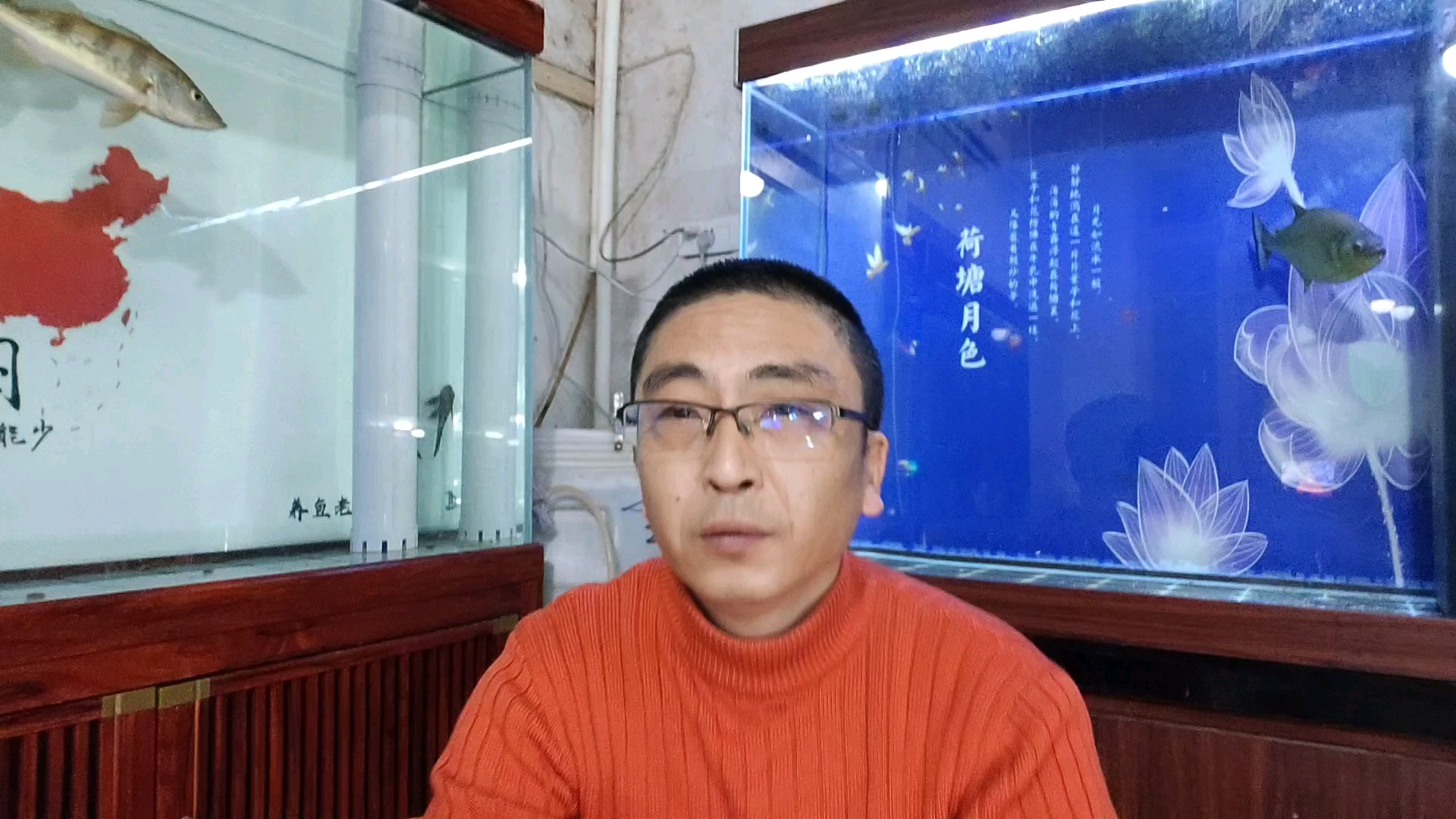 哪些观赏鱼可能细菌比较多,不适合购买或饲养?