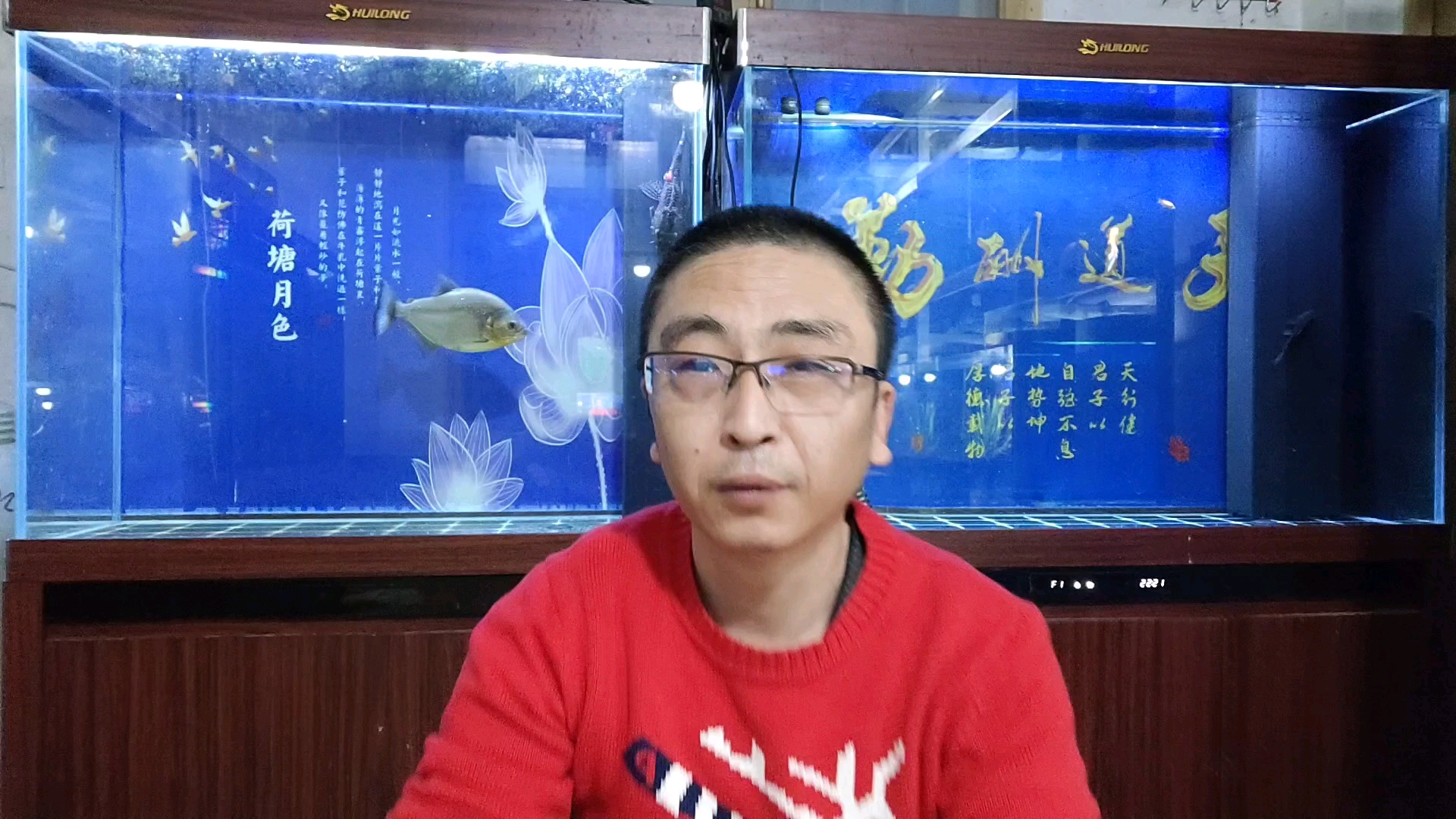 新手养鱼,各种问题都着急,最后还是把鱼给养死了,不要急躁