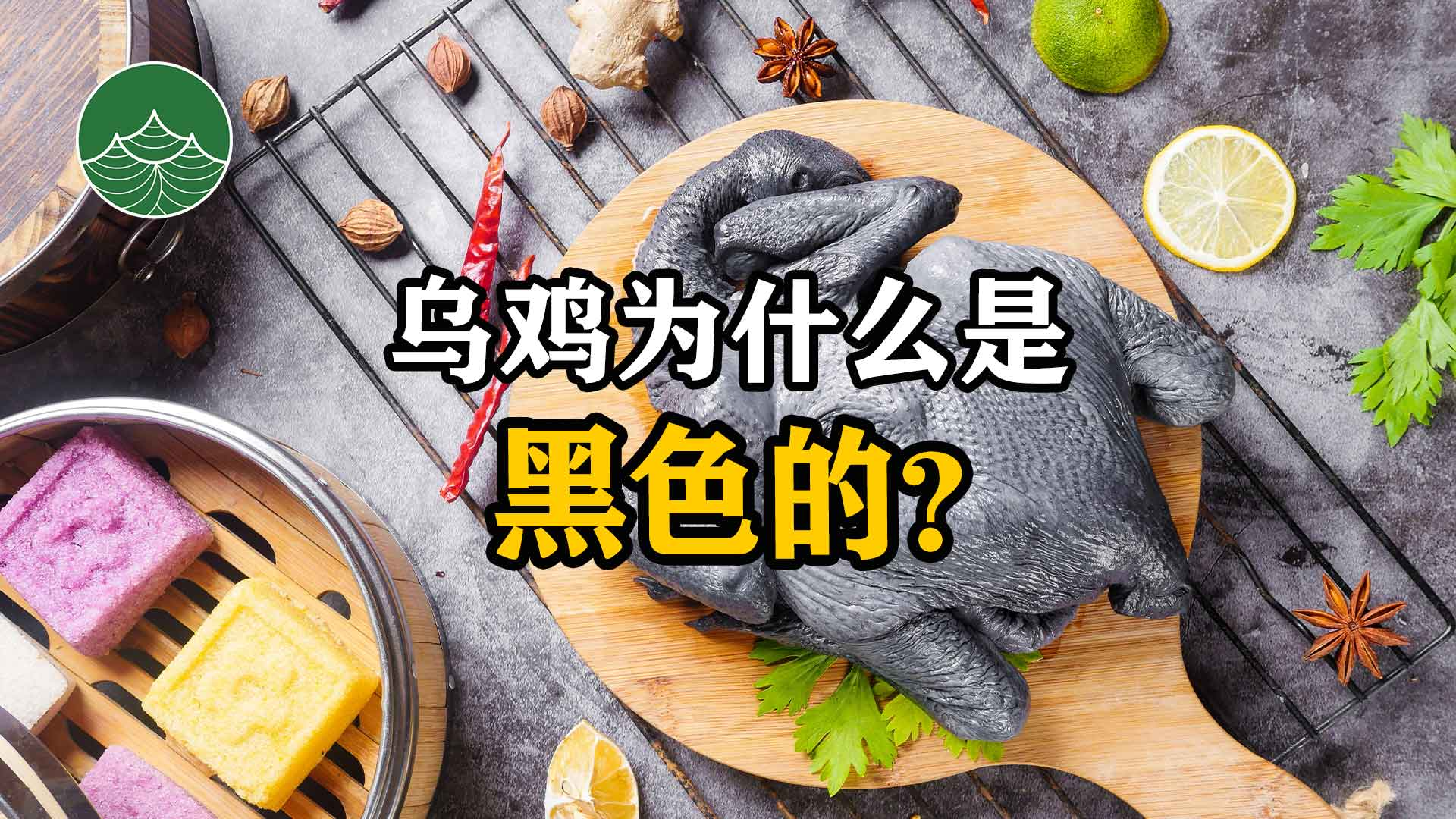 乌鸡为什么是黑色的?