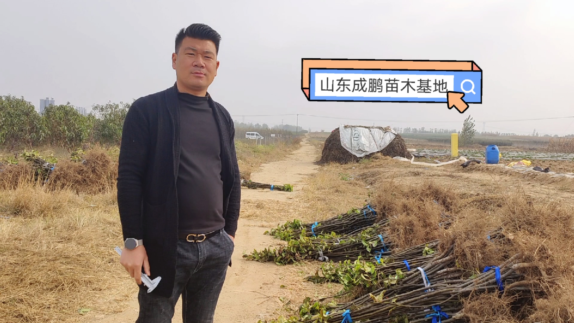果树苗有哪些新品种