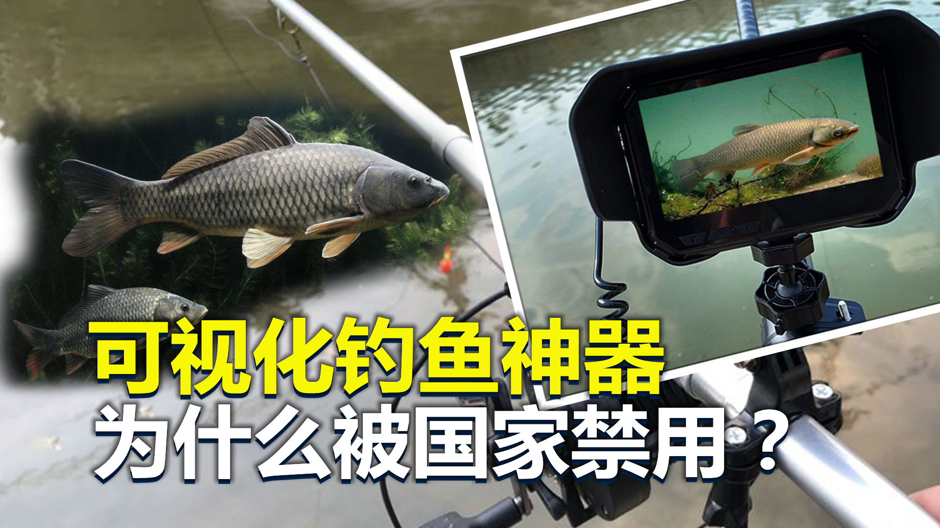 可视化钓鱼神器，为什么被国家禁用，看看危害就明白了
