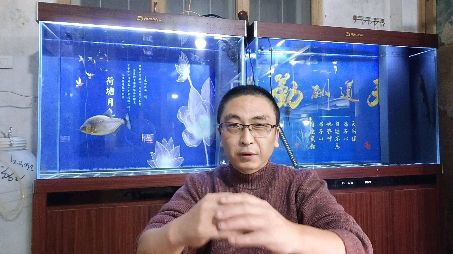 新手鱼友常见的四大问题,答案都在问题里