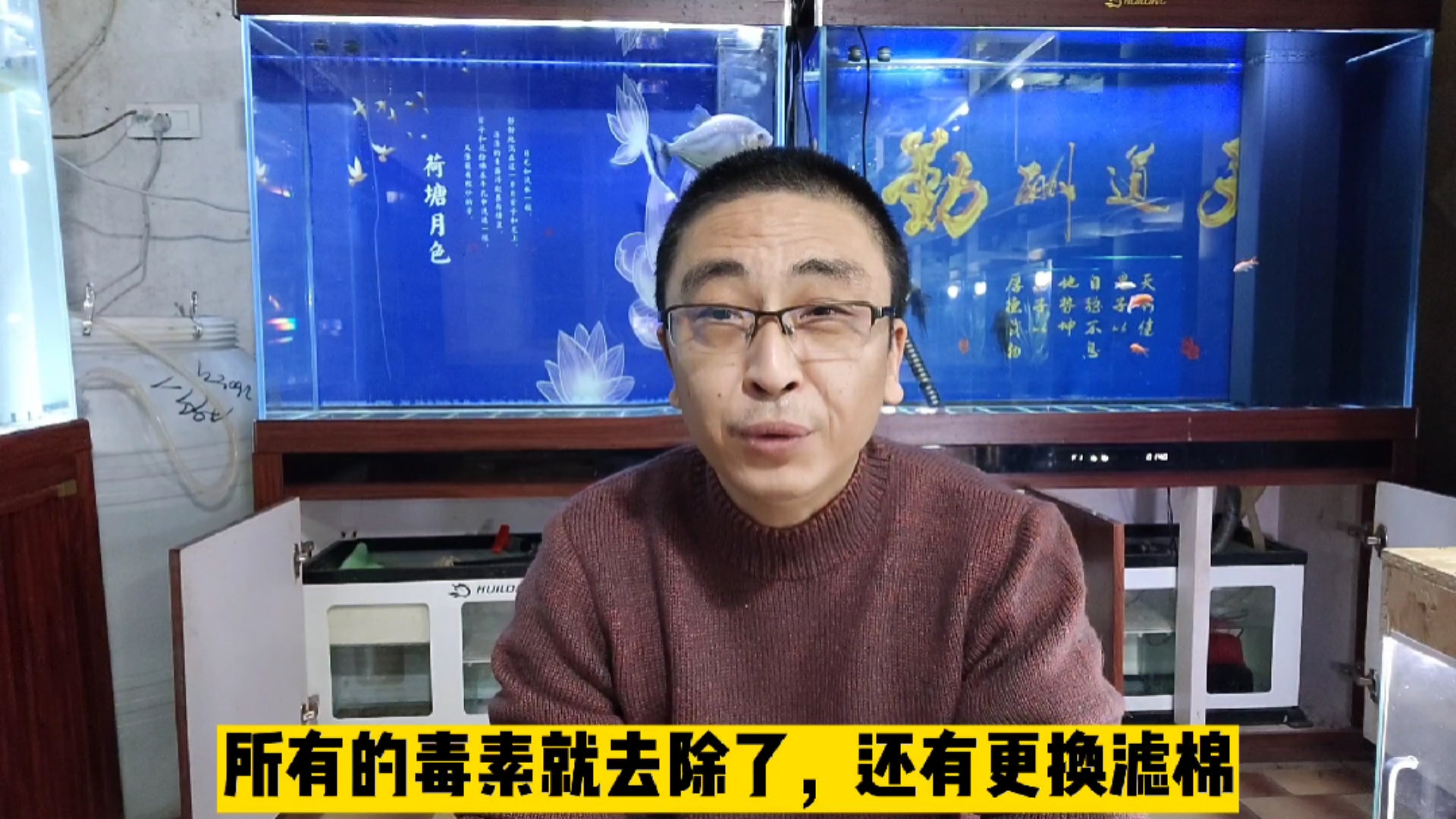 无滤材养鱼三四个月,水质和鱼的状态如何?是不是简单点更好呢?