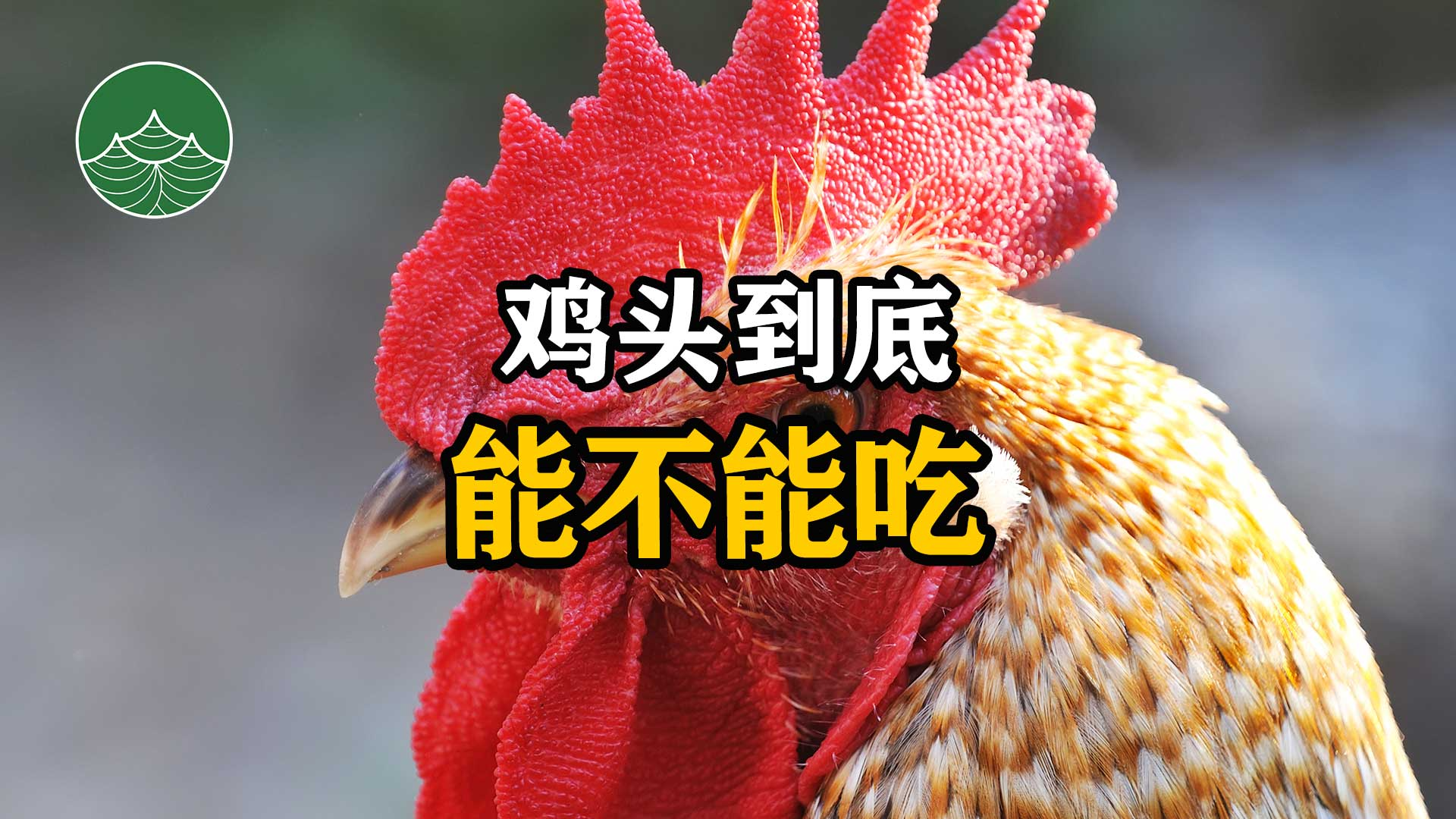 鸡头到底能不能吃