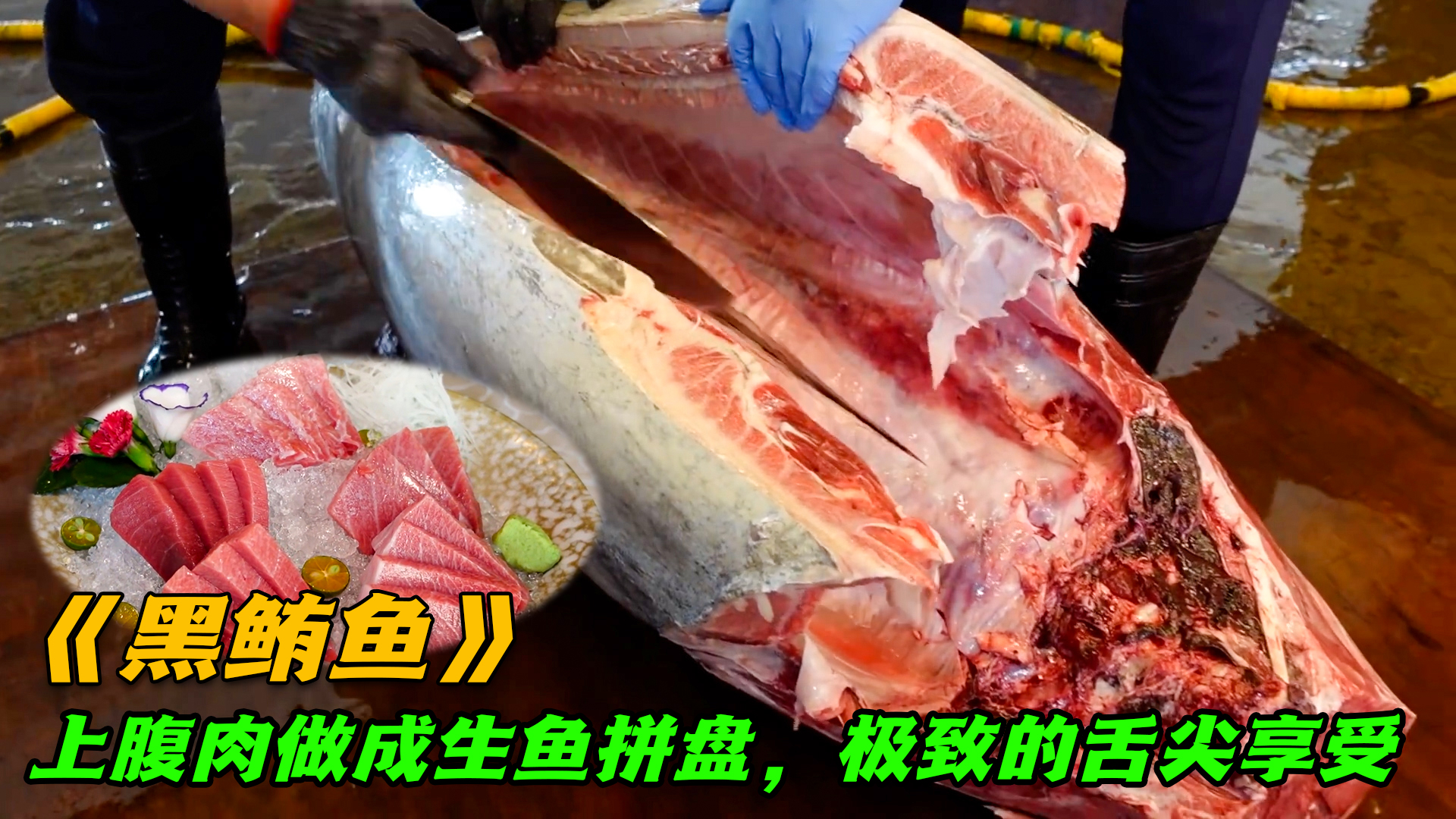一口破千的黑鲔鱼金三角,上腹肉做成生鱼拼盘,极致的舌尖享受
