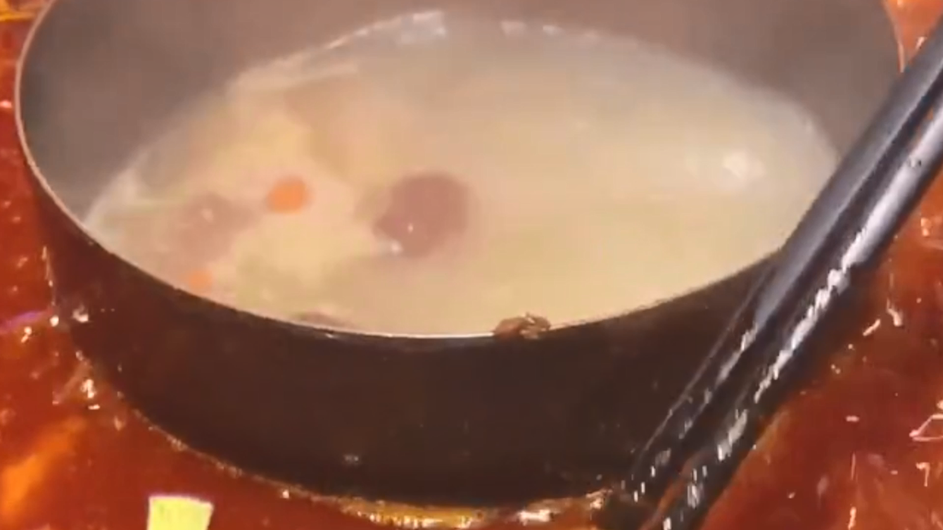 重庆火锅店广告录音