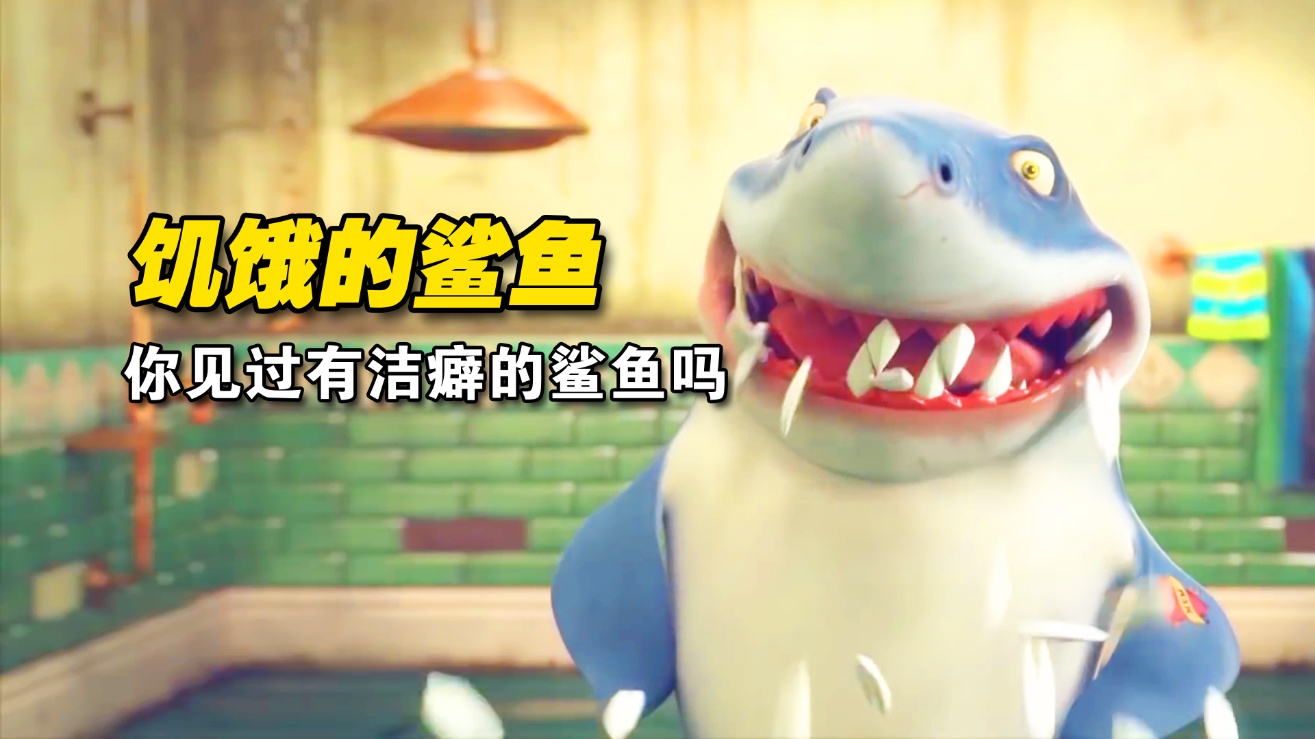 你见过这样有洁癖的鲨鱼吗