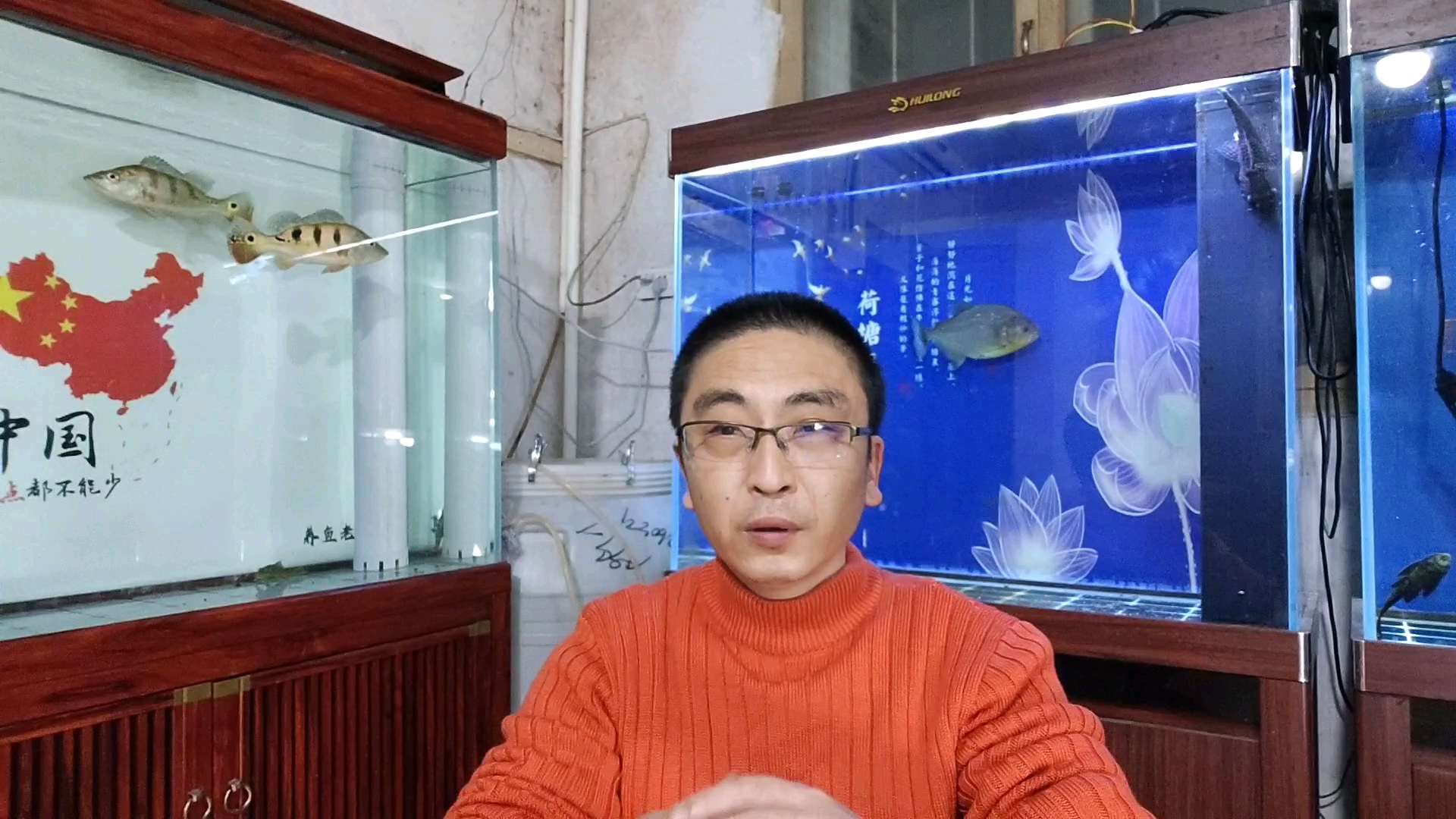 饲养十几缸观赏鱼,有哪些设备根本就没用到?