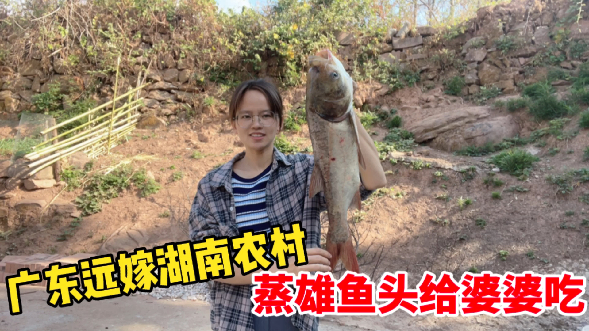 广东远嫁湖南:农村媳妇蒸雄鱼头给生病婆婆吃,这么好的媳妇难找