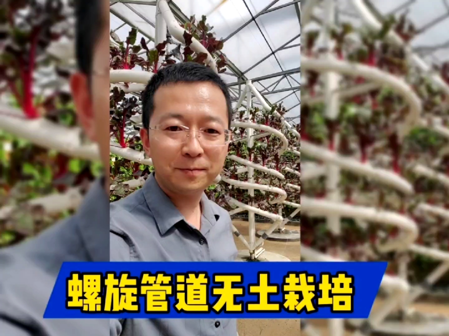 无土栽培蔬菜模式,蔬菜景观,农业景观,螺旋管道栽培