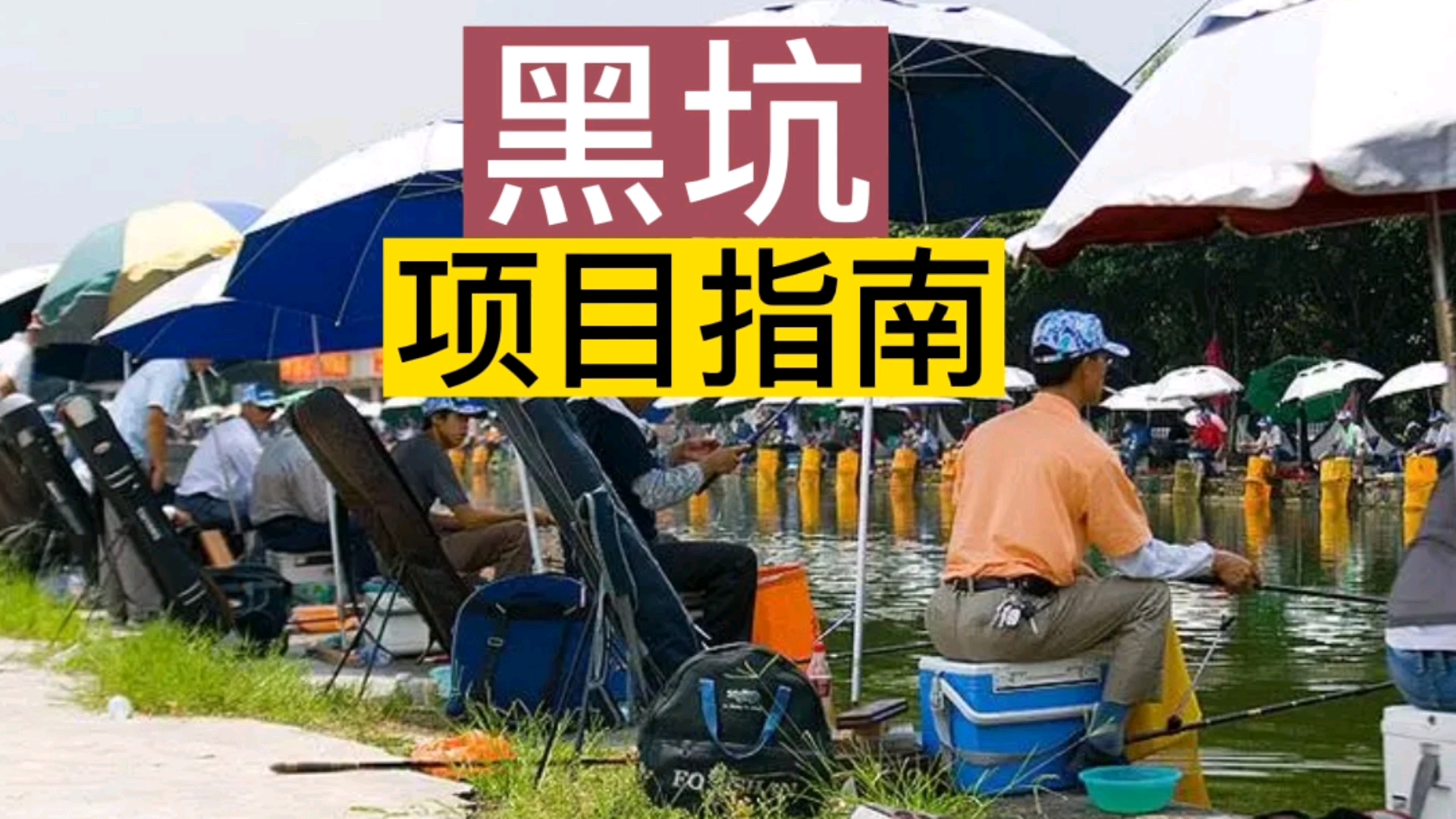 中年男人三宝之一的黑坑,背后藏着怎样的商机?