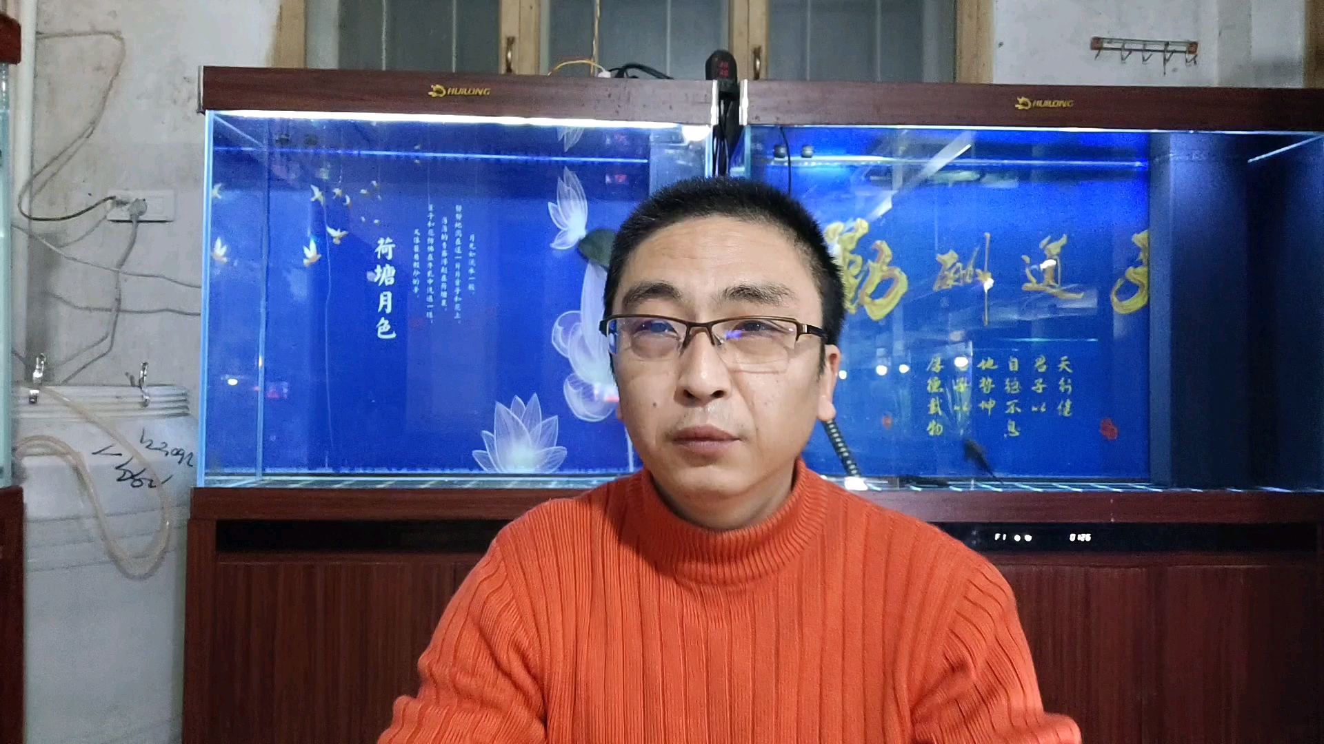 鱼缸的噪音消除问题，为什么鱼房内杂音那么多？