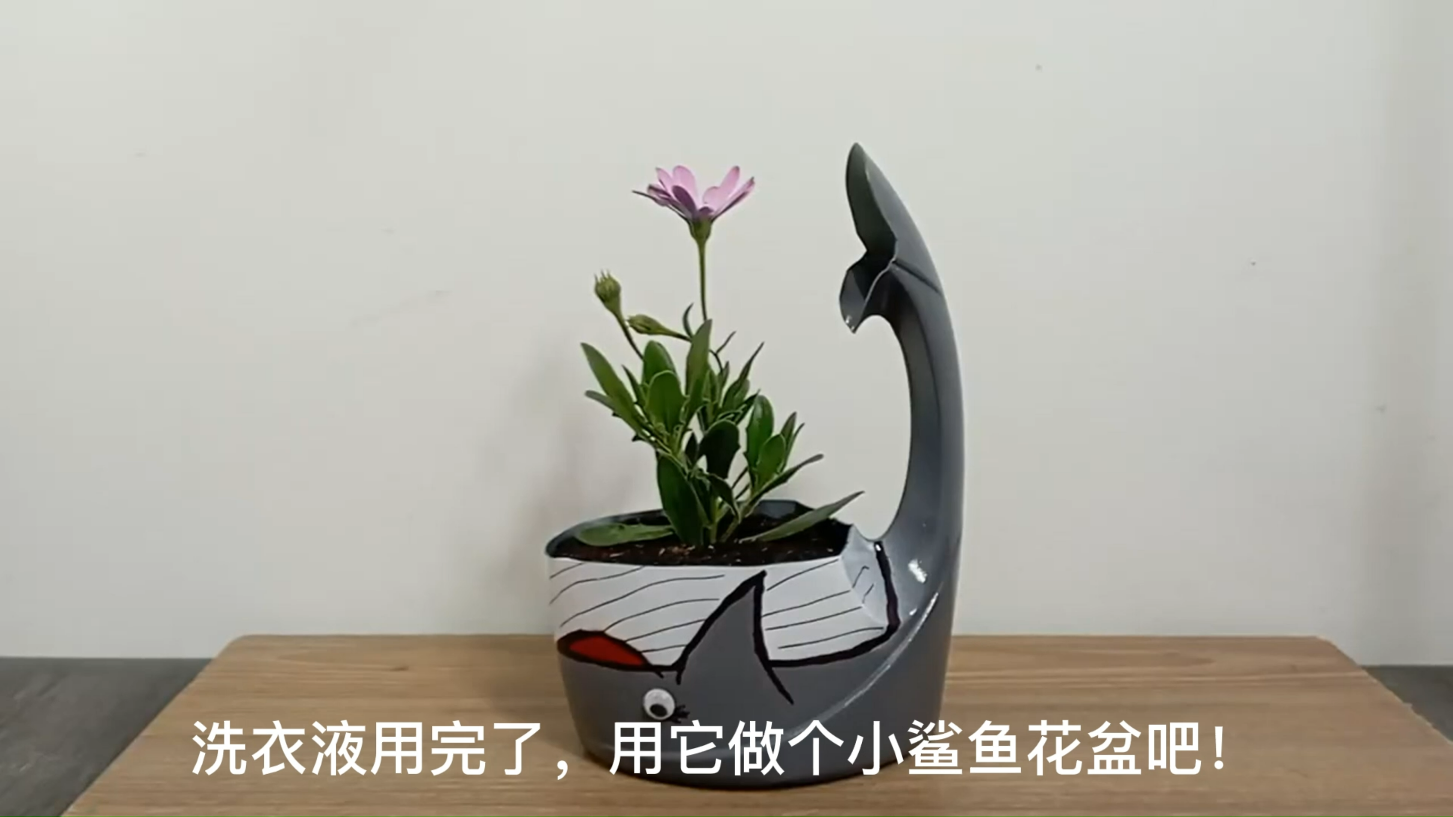 diy手工制作鲨鱼花盆生活小妙招废物利用变废为宝创意环保好物