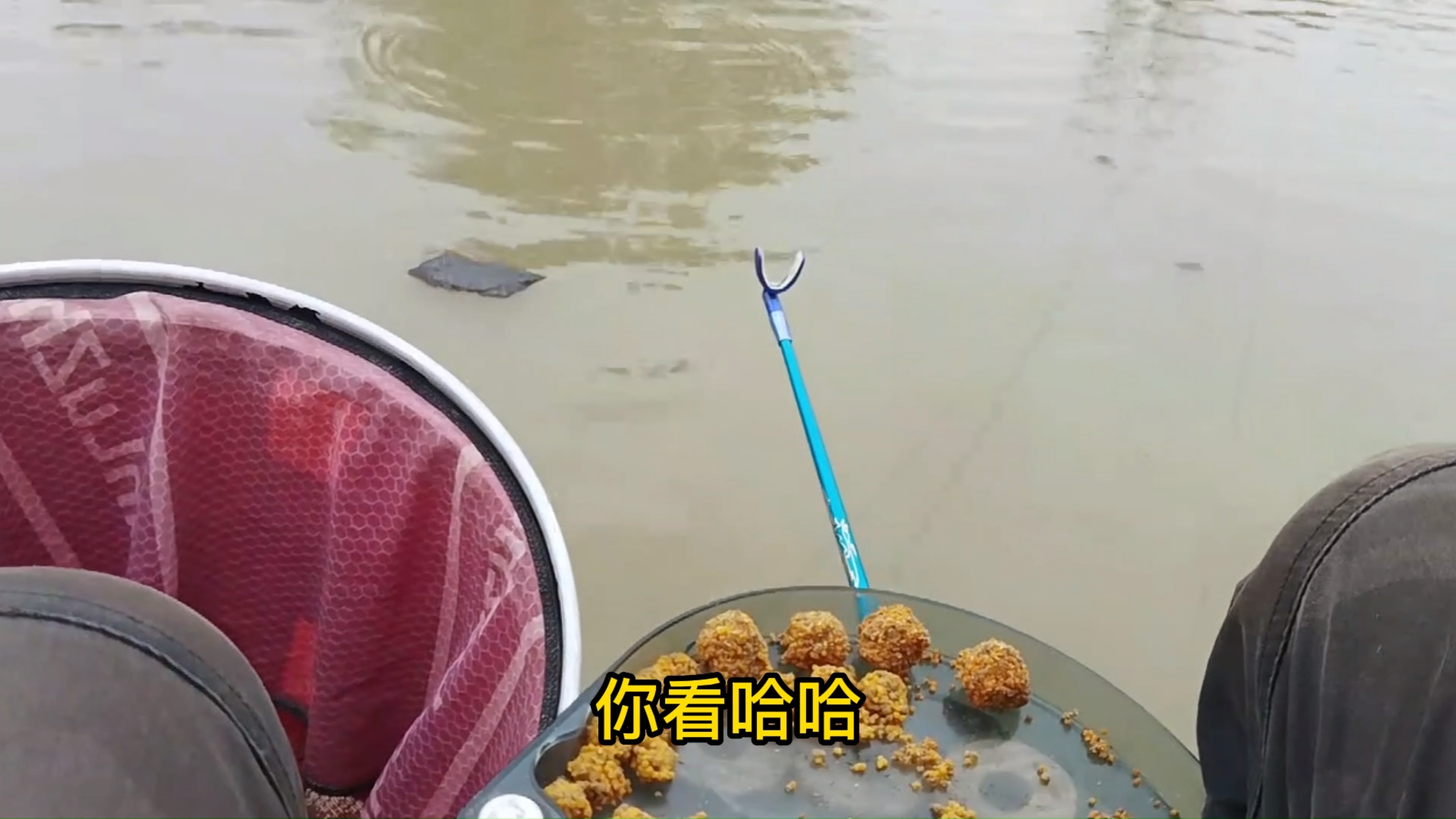 黑坑钓鲤鱼打底接口钓法,打行程钓法,速拔哥钓镜面鲤鱼的技巧