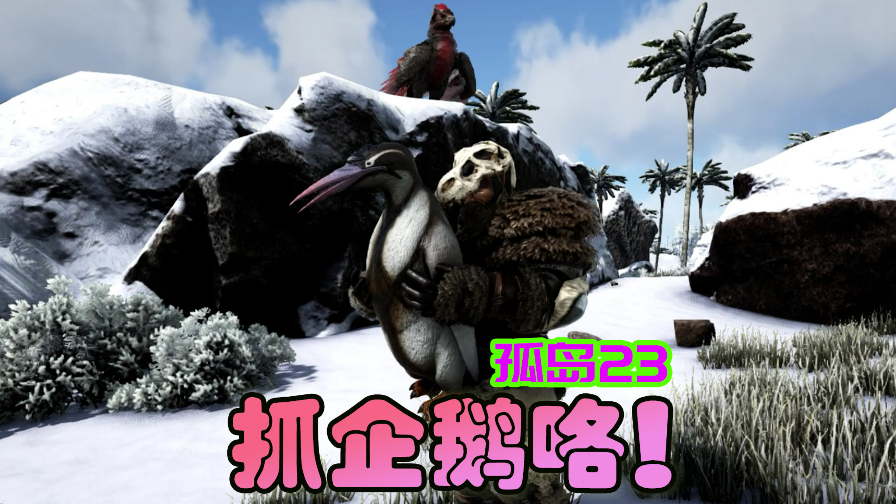 方舟生存进化 孤岛23 海边抓企鹅，蠢萌蠢萌的