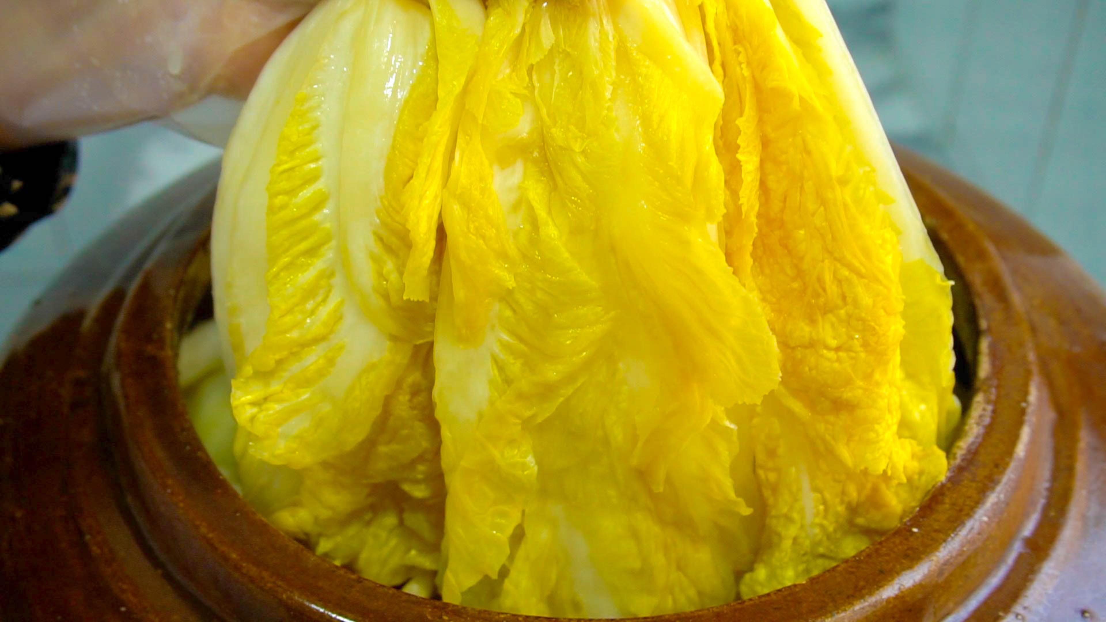 家庭版腌酸白菜正确做法，老配方告诉你，酸的快不发黑，脆爽开胃