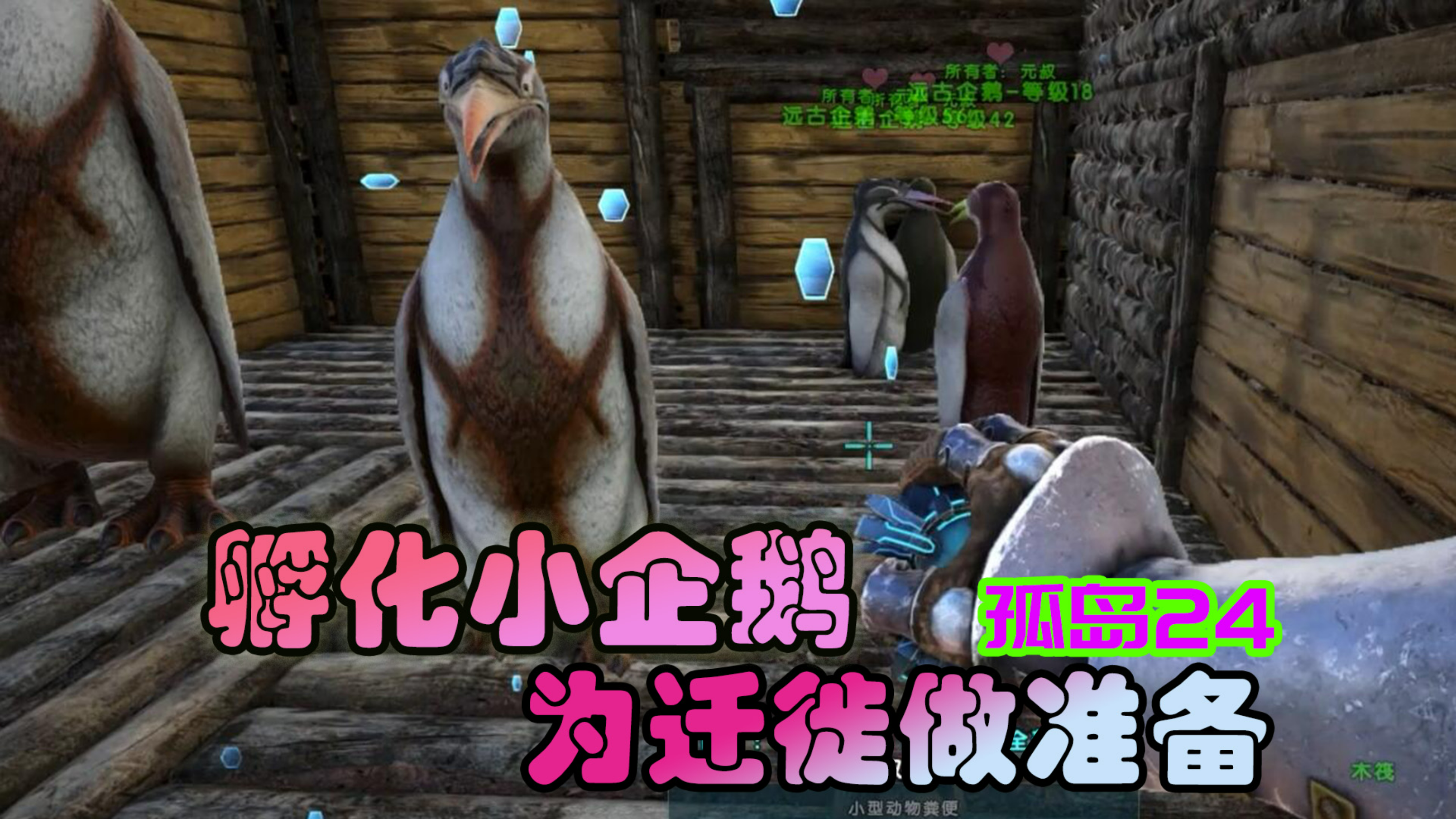 方舟生存进化 孤岛24 繁殖企鹅成功了，准备大迁徙