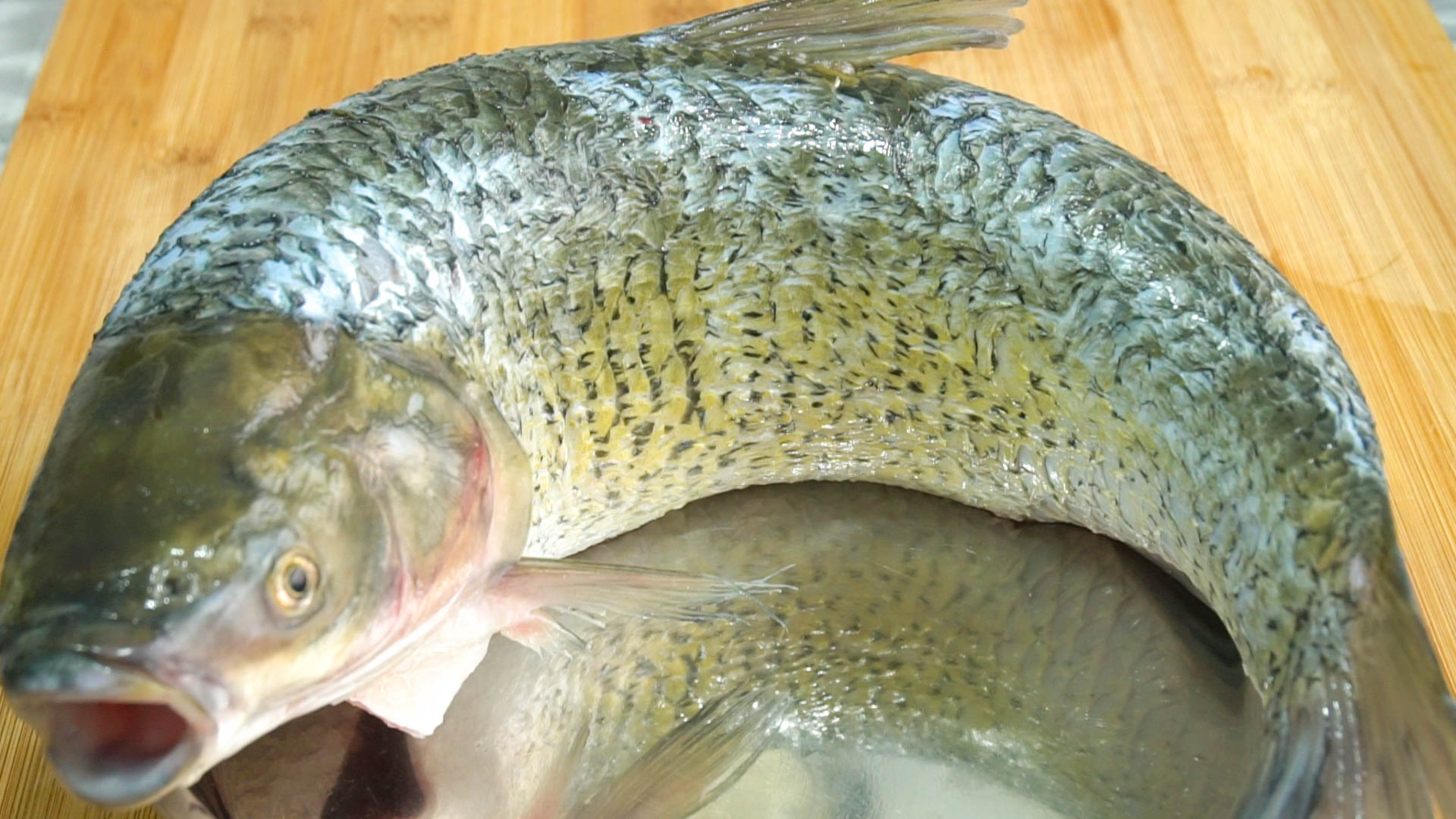 想吃鱼丸在家就能做，真材实料口感好，细腻Q弹又劲道，汤鲜味美