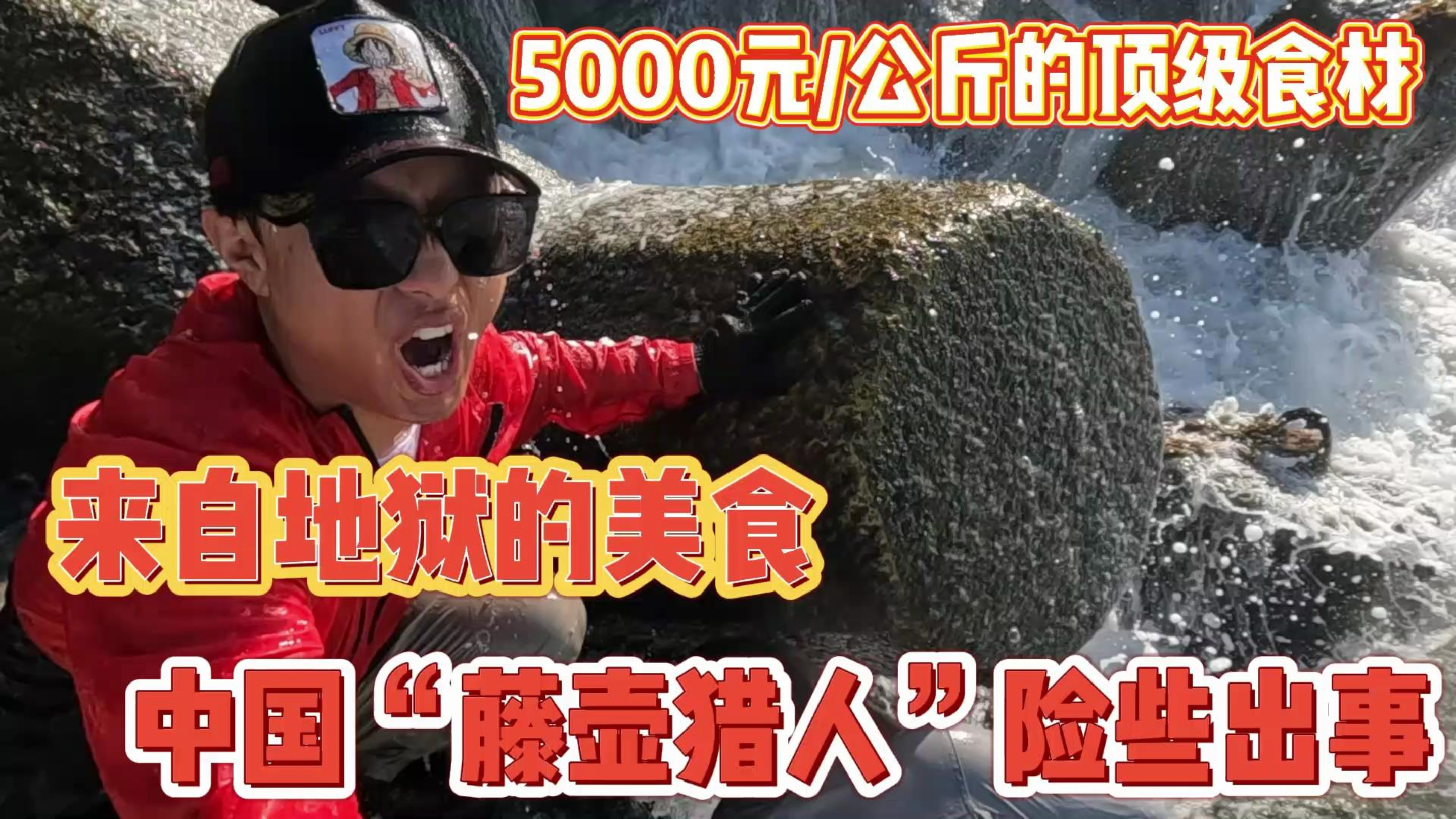 中国小哥发现5000元/公斤的顶级食材，采摘过程危险重重