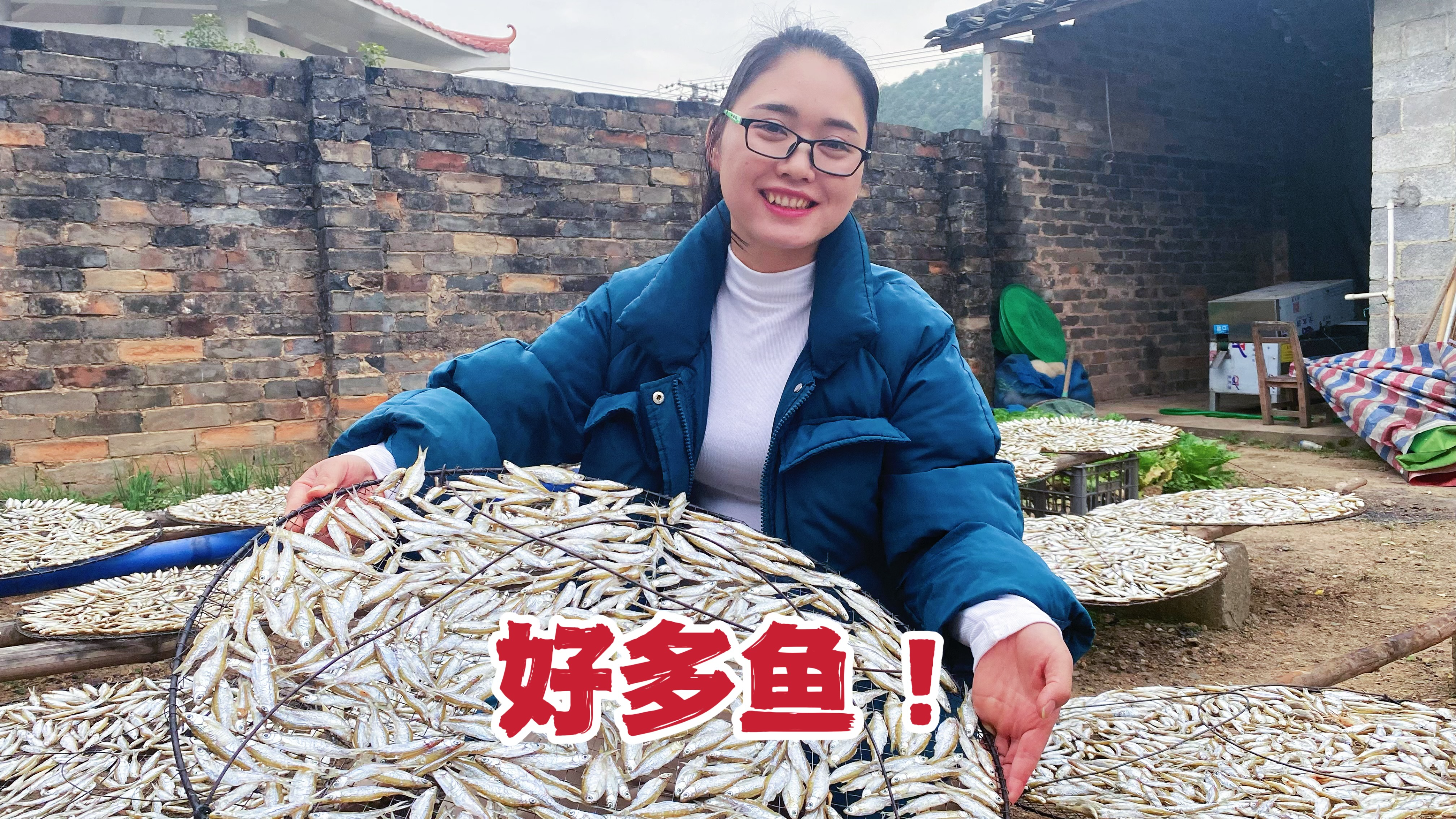 农村这种野生鱼吃过吗?4斤活鱼烘晒得一斤,炒辣椒太好吃了!
