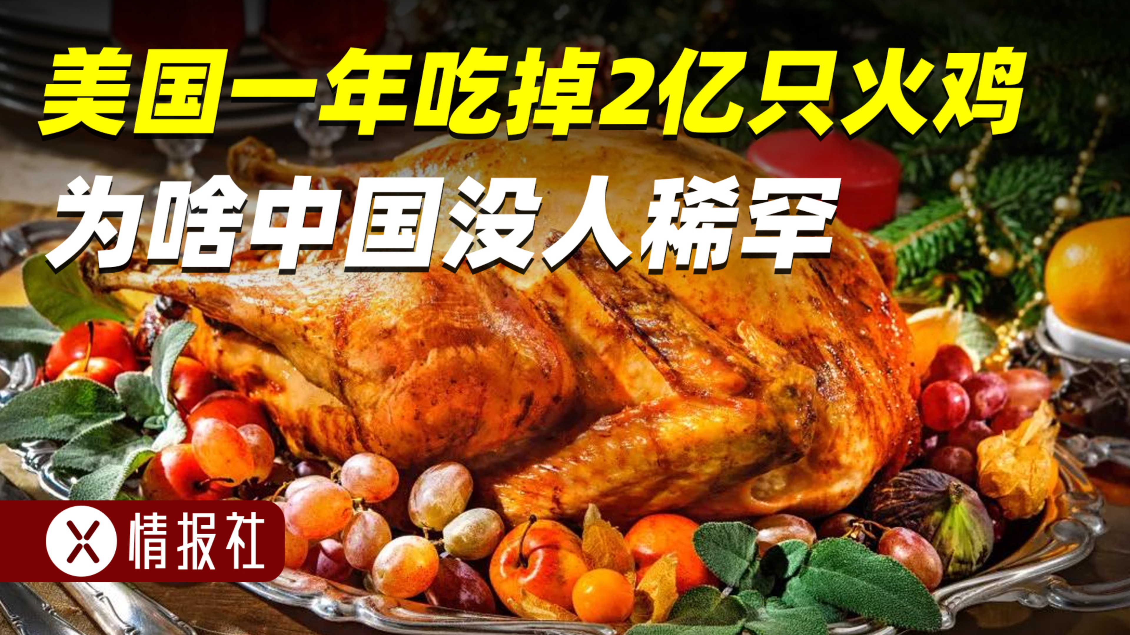 火鸡在国外那么火,为啥登不上中国的餐桌?大厨皱眉,养殖户闹心