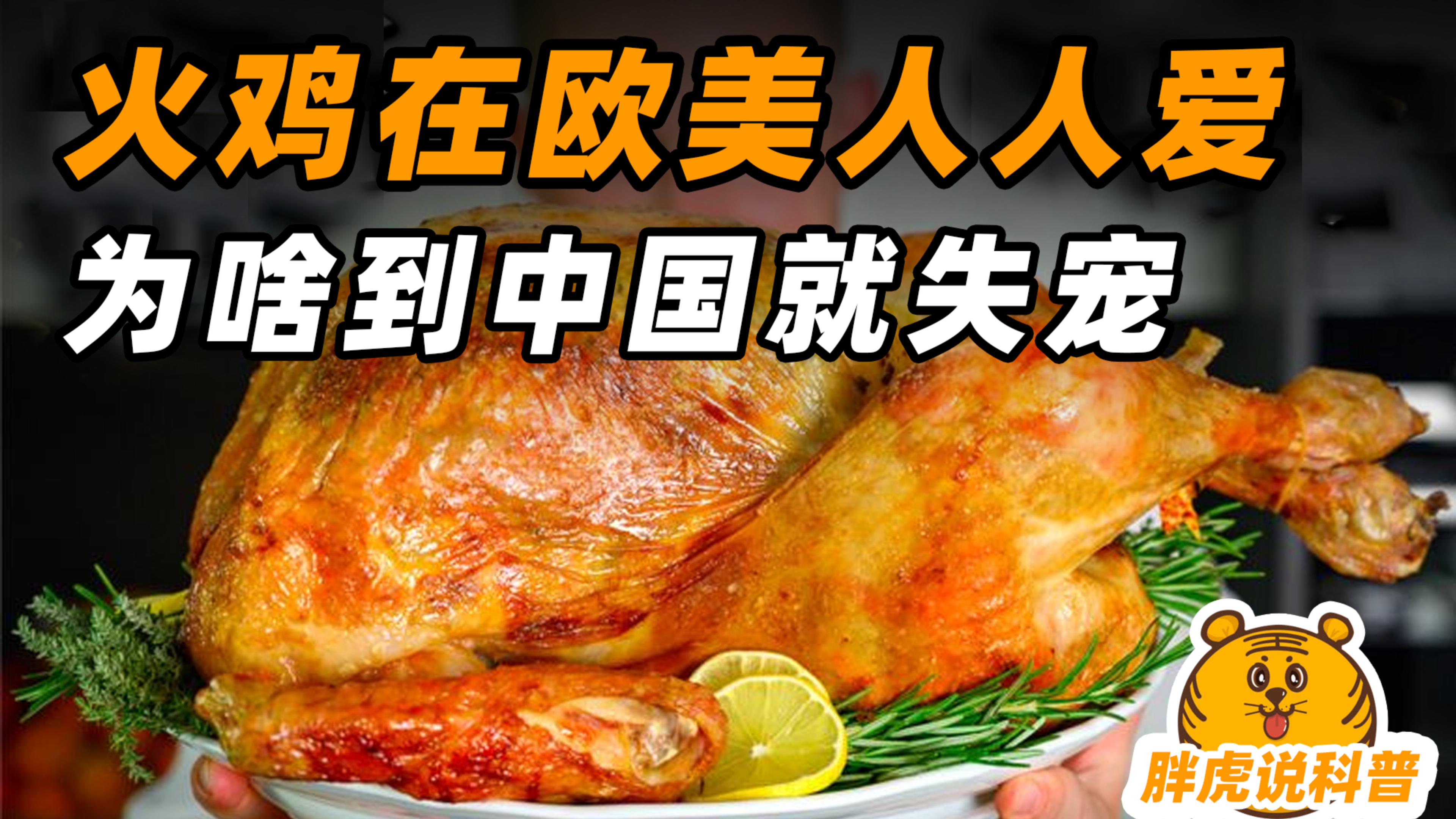 欧美人人欢迎的火鸡,为啥到中国就失宠?地位还不如白羽鸡