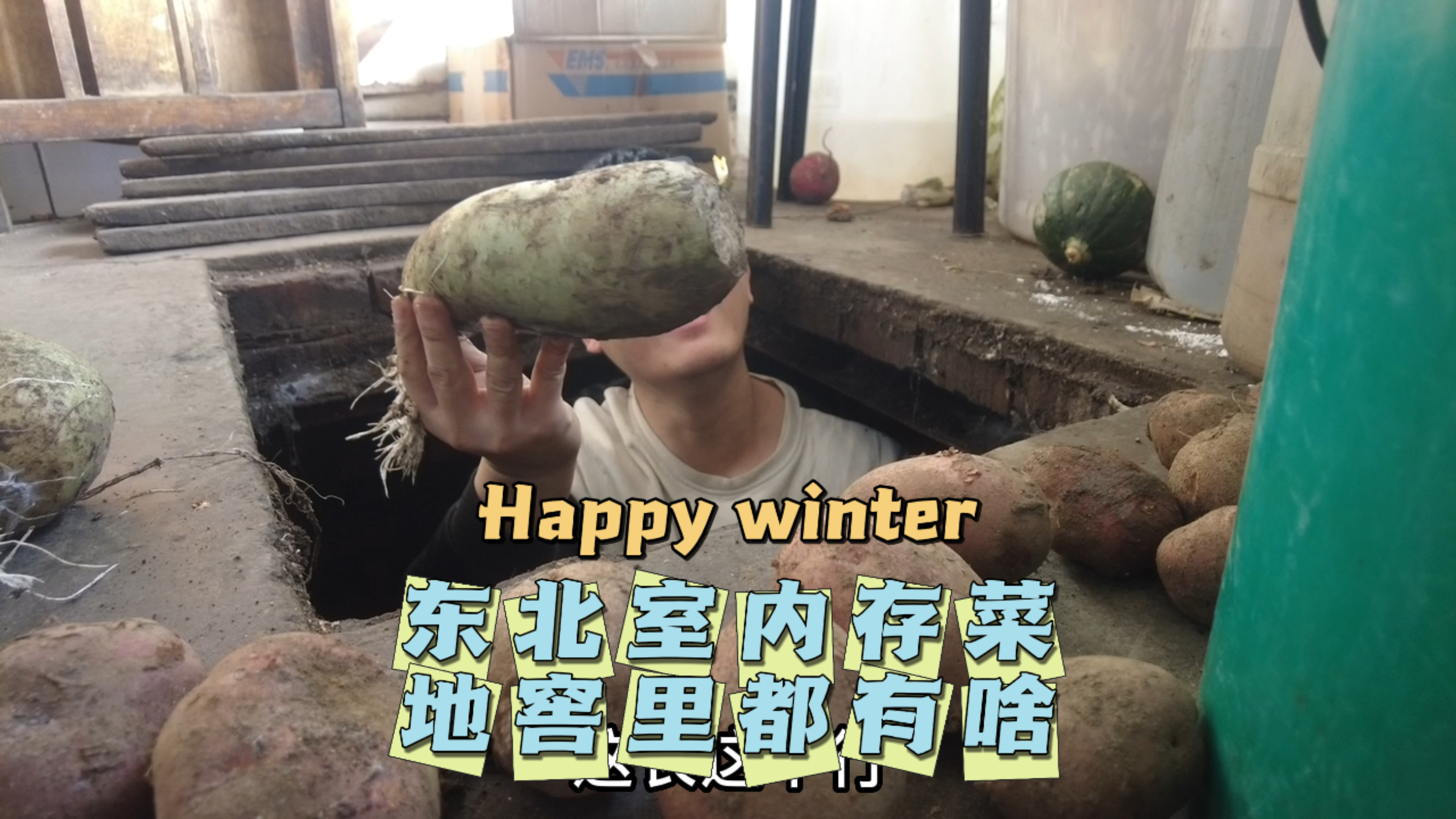 东北冬储蔬菜都有啥,室内地窖存量最多,拿点青萝卜做萝卜卷子