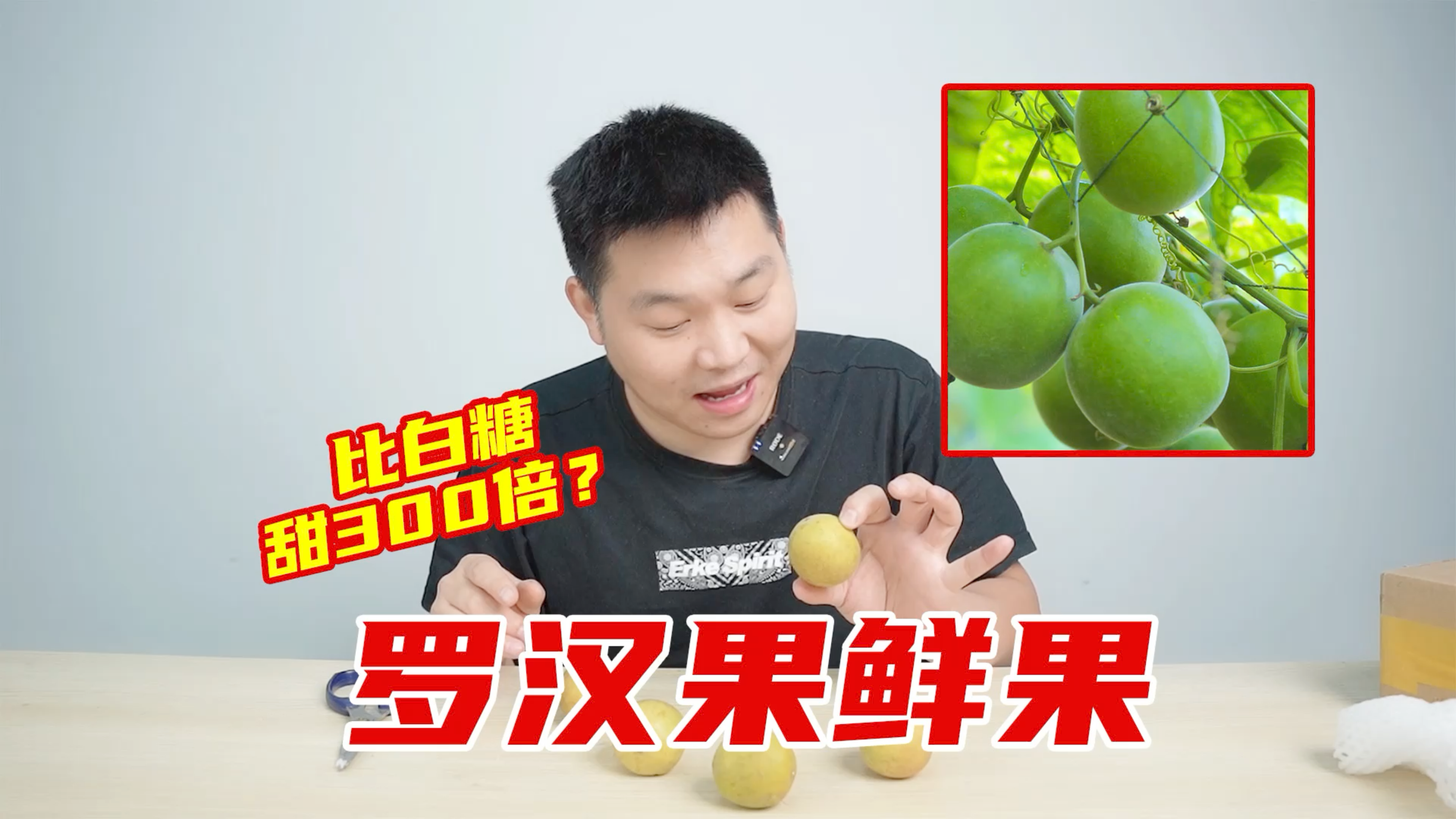 试吃号称比白糖还甜300倍的罗汉果,真有那么甜吗?