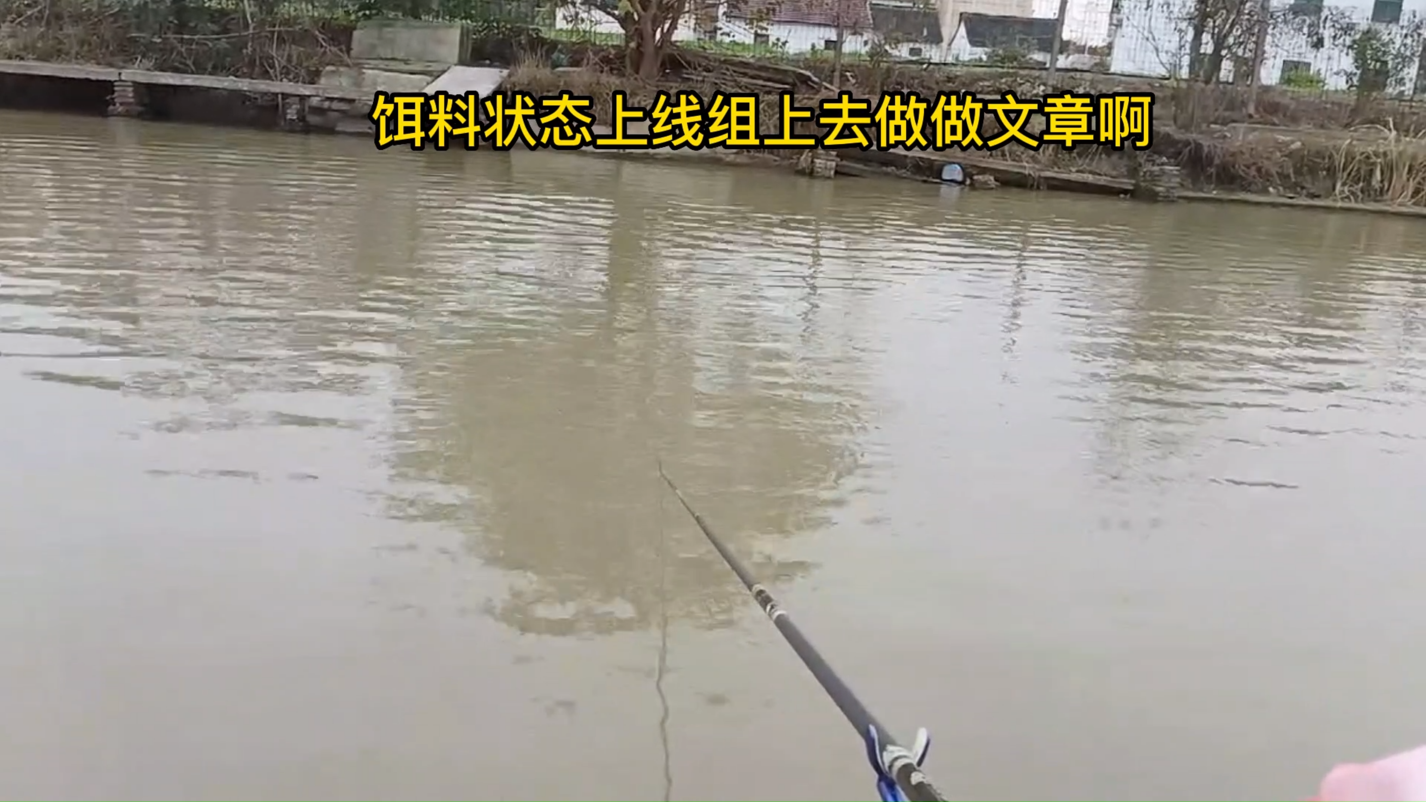 黑坑钓回锅鲫鲤鱼技巧,钓鲤鱼的技巧和方法,速拔哥冬季钓鱼视频