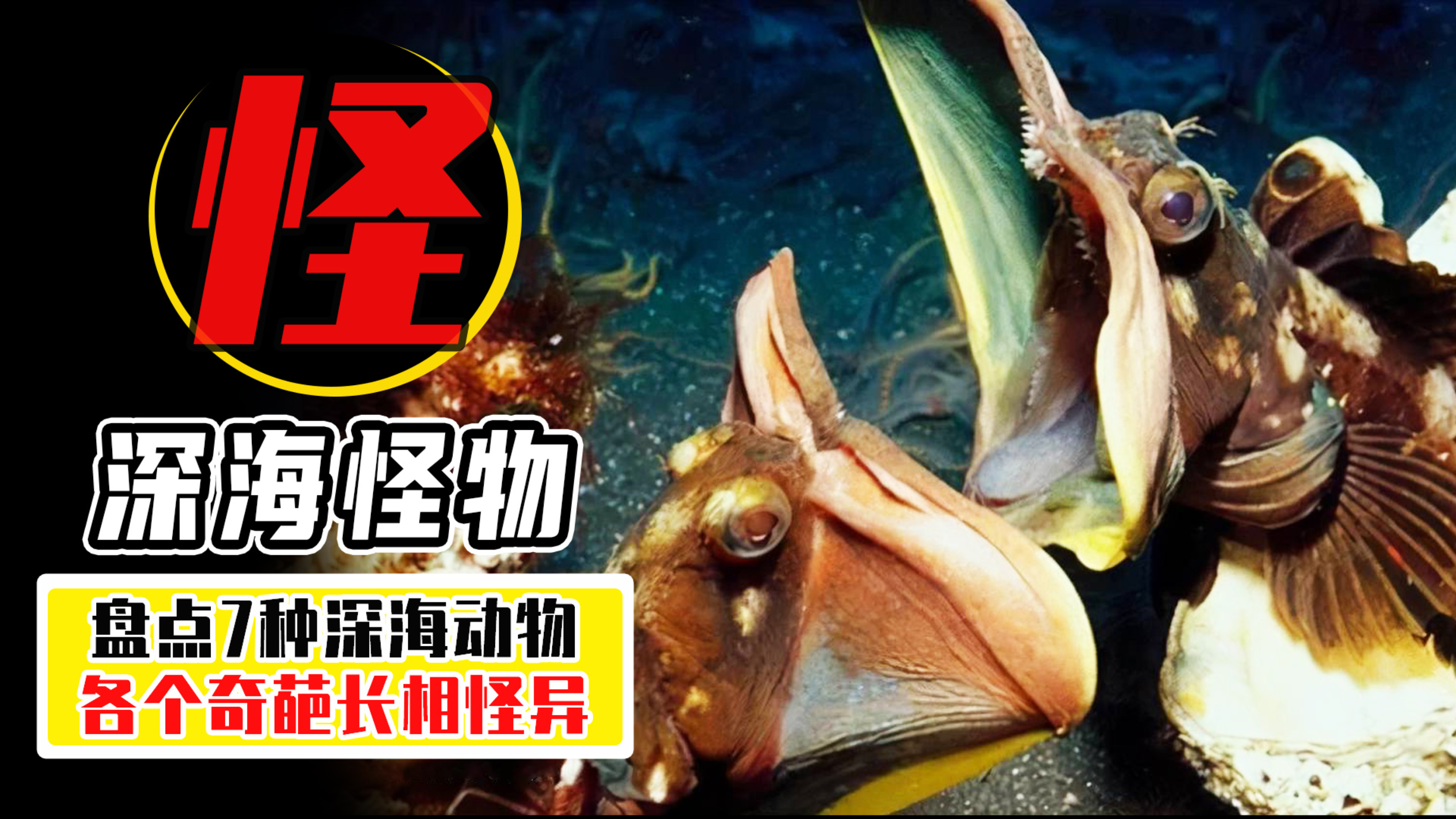 一口把猎物拖进巢穴？只剩个头还能咬爆猎物？盘点7种深海怪鱼