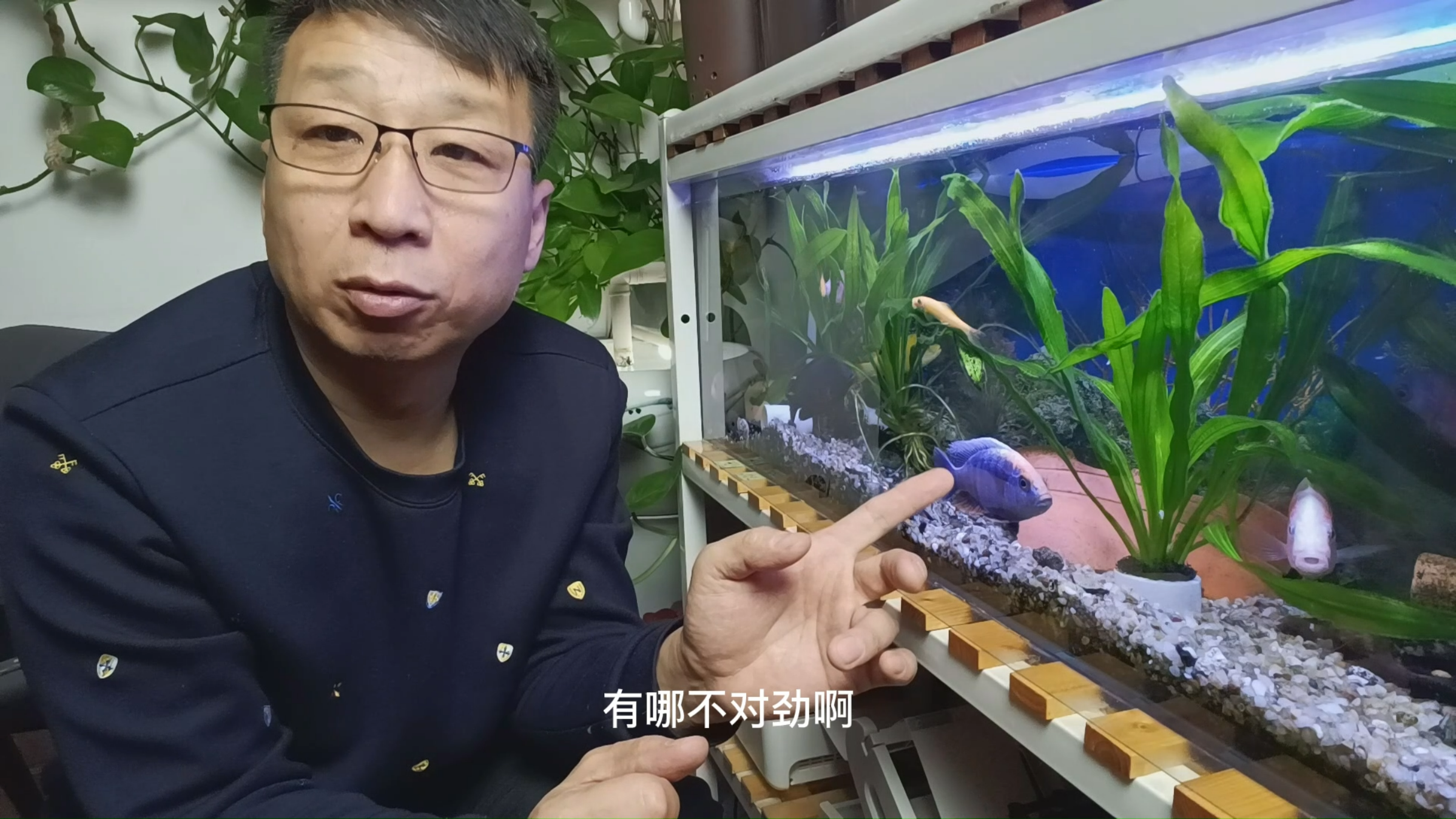 养鱼经验,鱼呼吸困难你知道吗?