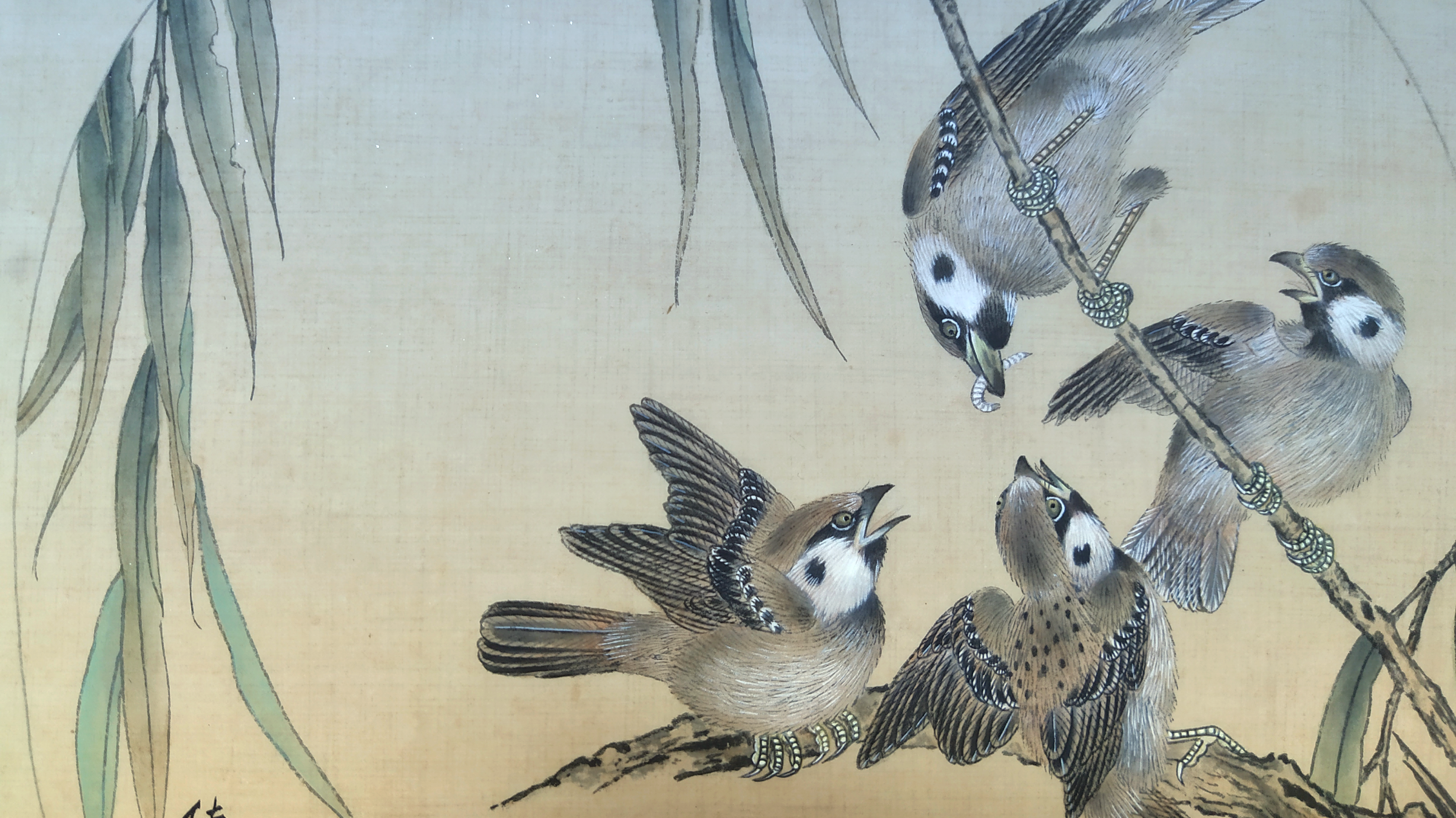 【国画】分享宋画《杨柳乳雀图》临摹绘制步骤,工笔麻雀绘画方法