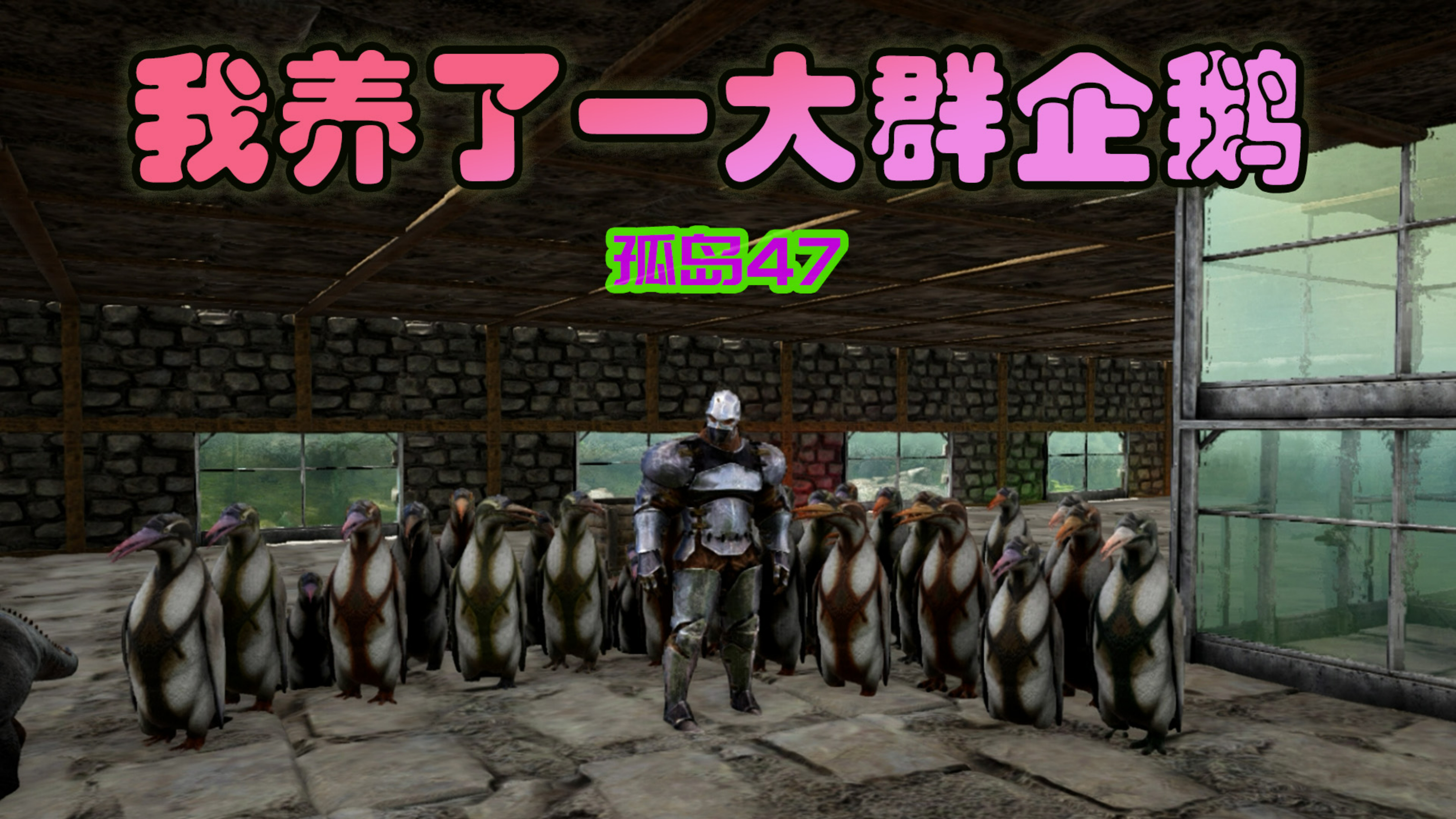 方舟生存进化 孤岛47 来看看我养的一大群企鹅吧