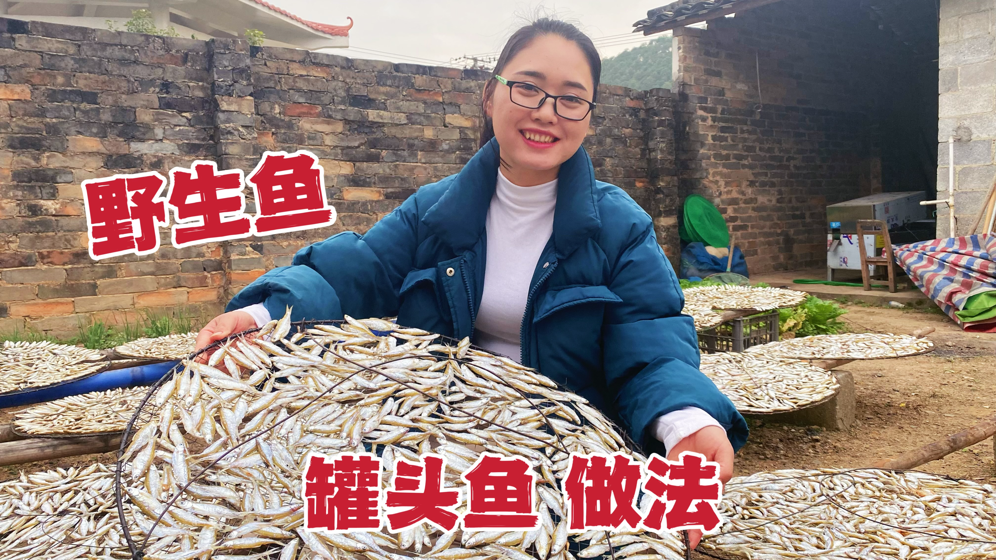 这样做罐头鱼见过没?野生鱼这样做罐头,简直太馋人了!