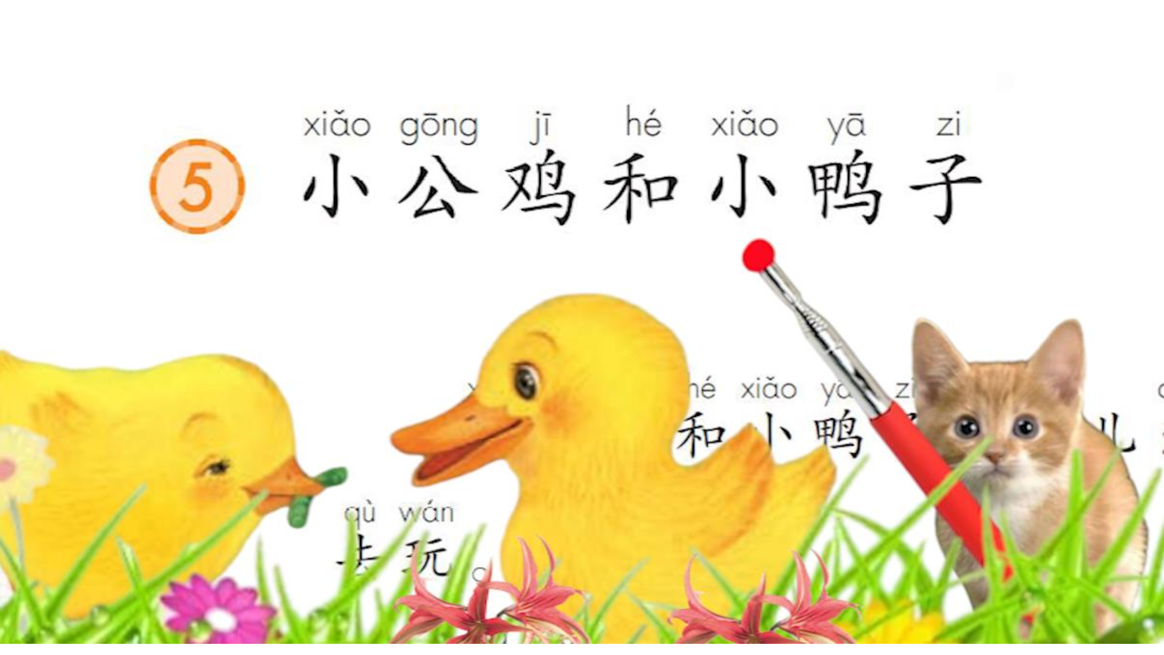 《小公鸡和小鸭子》课文朗读小学语文一年级下册第五课