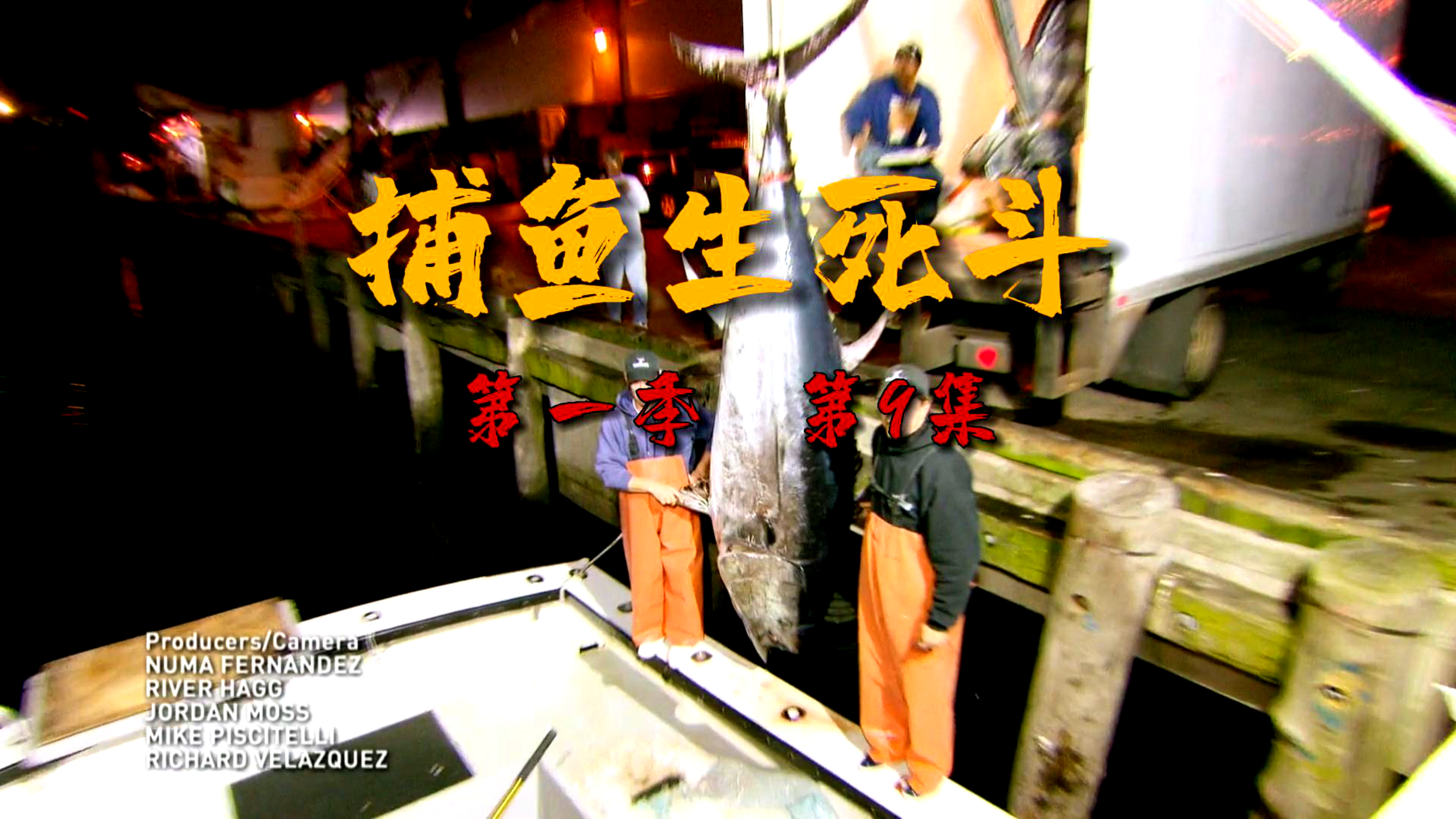 一天内怎样钓上两条巨型蓝鳍金枪鱼,重千斤长达三米,捕鱼生死斗