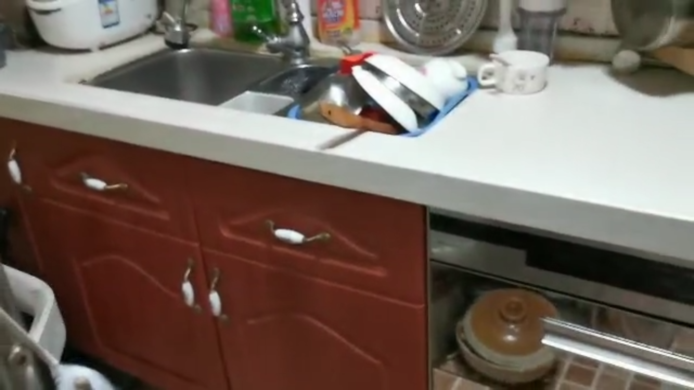 厨房衣鱼虫卵怎样彻底清除