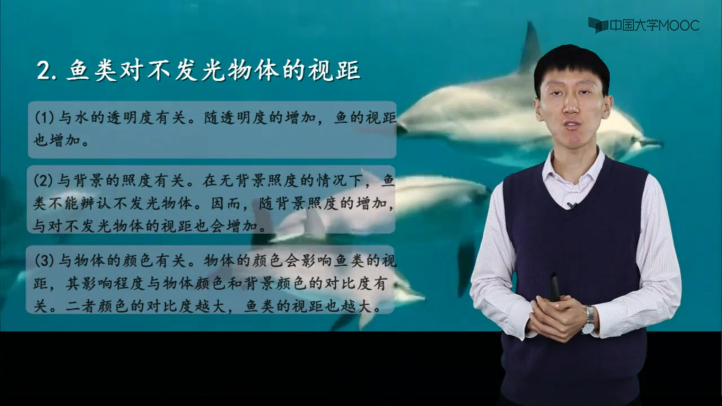 海洋生物地理_鱼类行为学_鱼类的运动视觉_科普视频