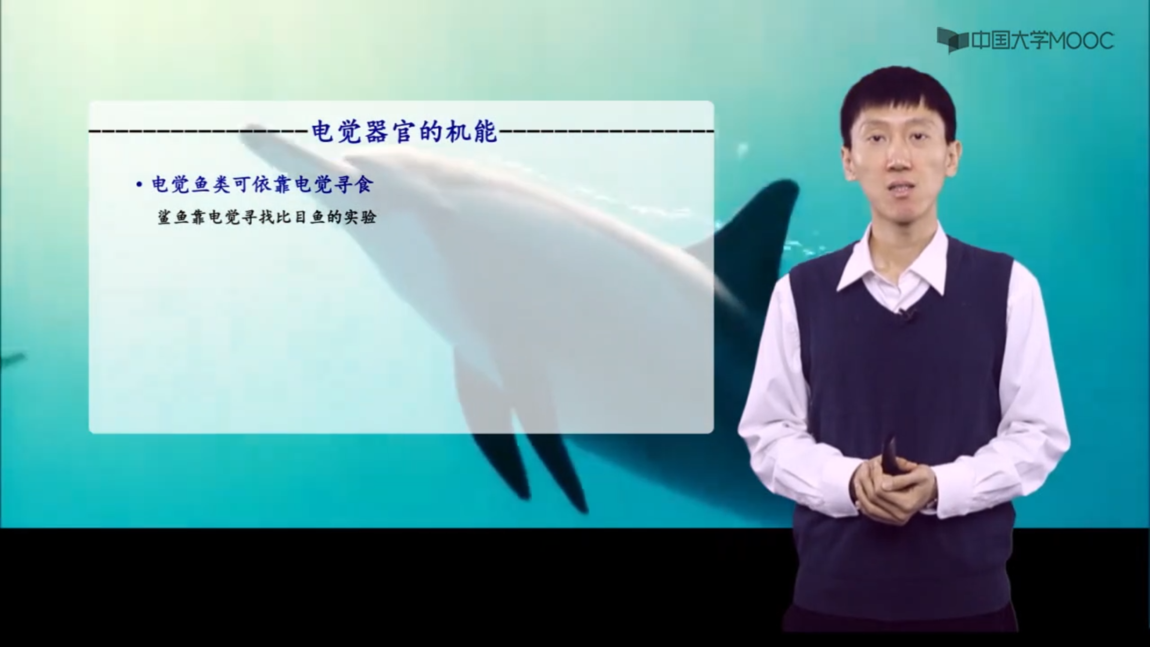 海洋生物地理_鱼类行为学_鱼类电觉器官及其结构功能_科普视频