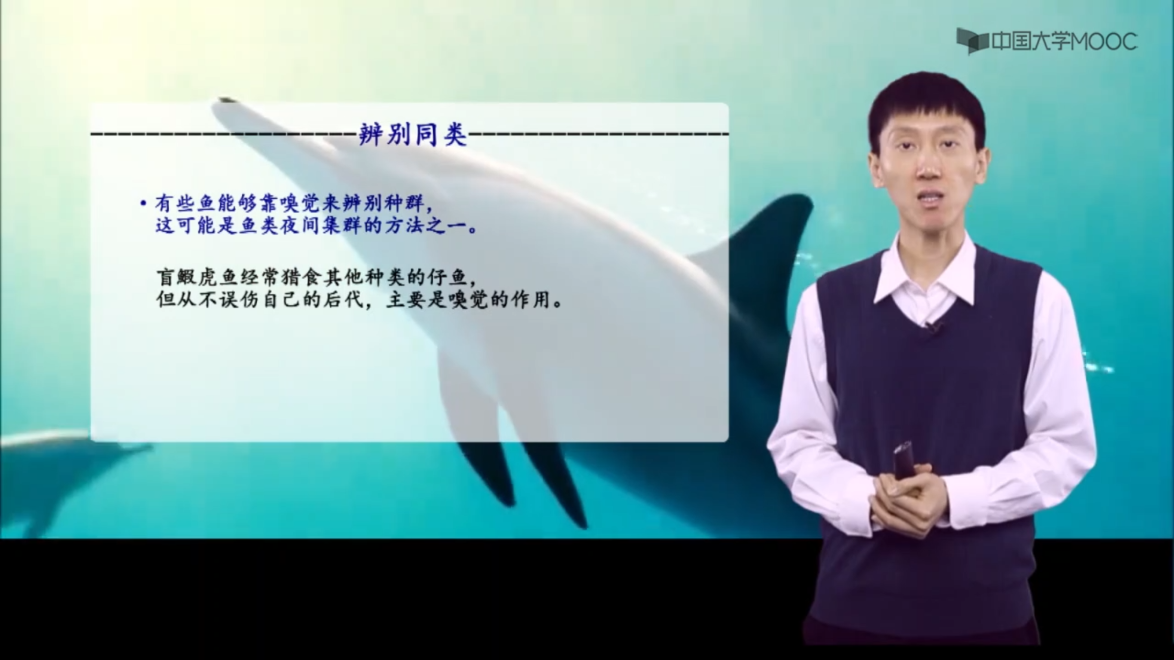 海洋生物地理_鱼类行为学_鱼类的嗅觉及摄食行为_科普视频