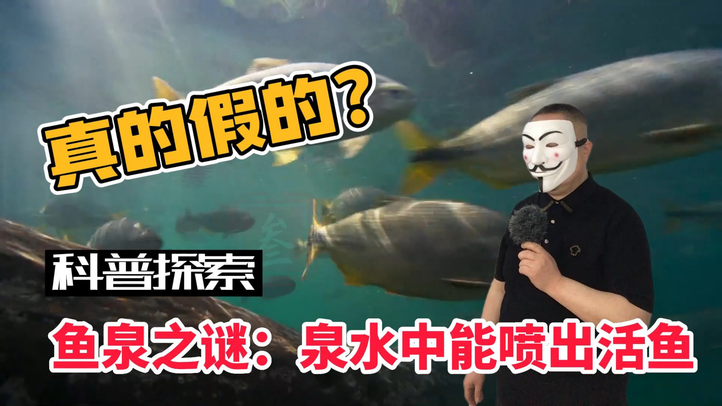 鱼泉之谜:泉水中能喷出活鱼