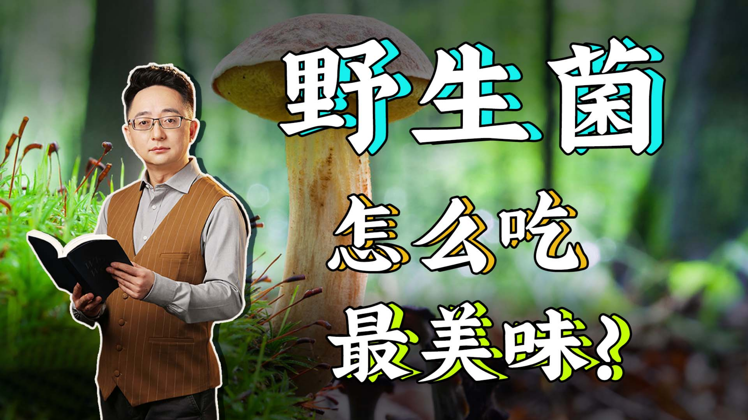 虽有毒但美味,野生菌如何吃才能被赋予灵魂,学会成为时间的朋友