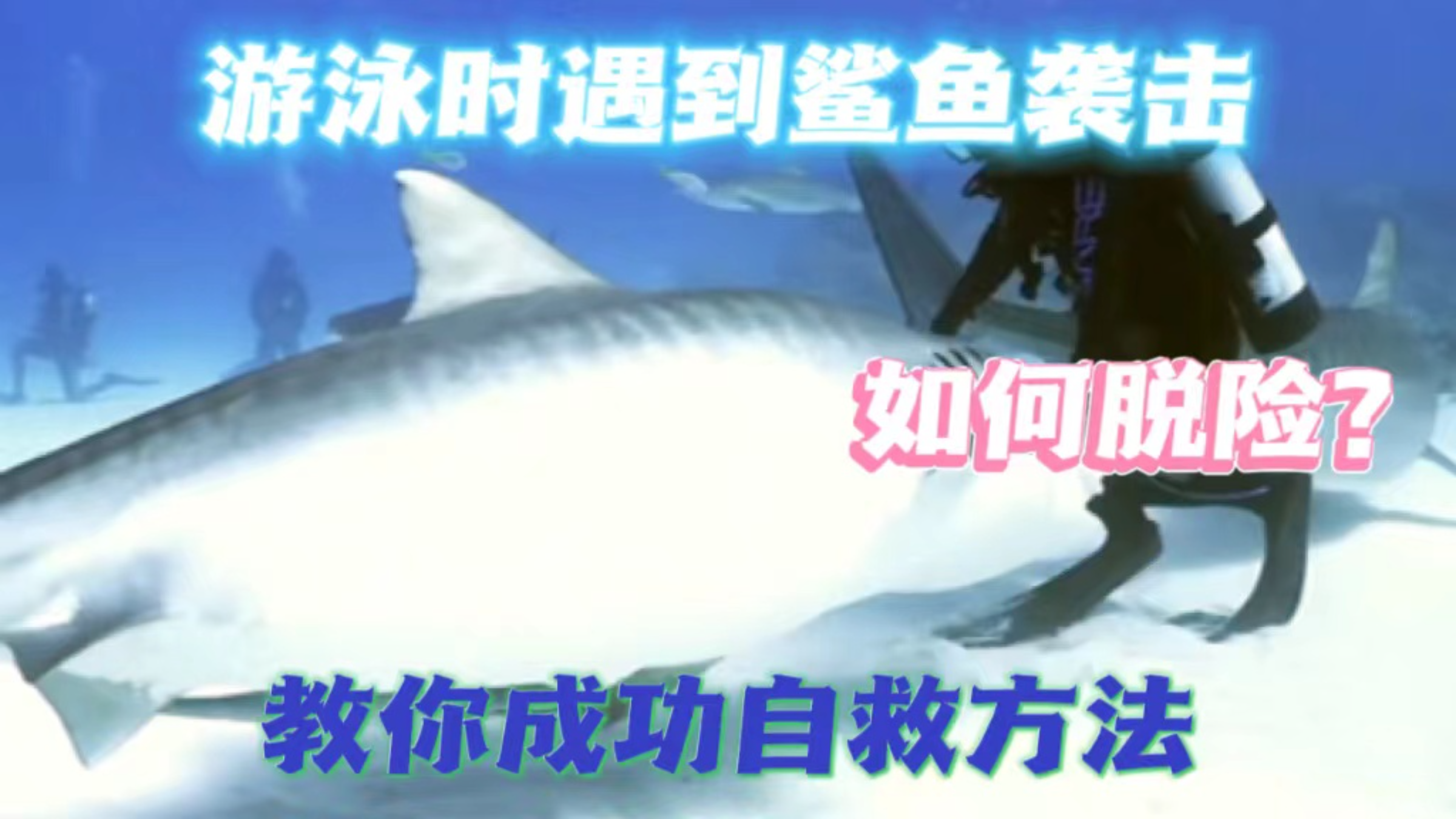在海里游泳,遇到鲨鱼攻击时,该如何自救才能逃脱?