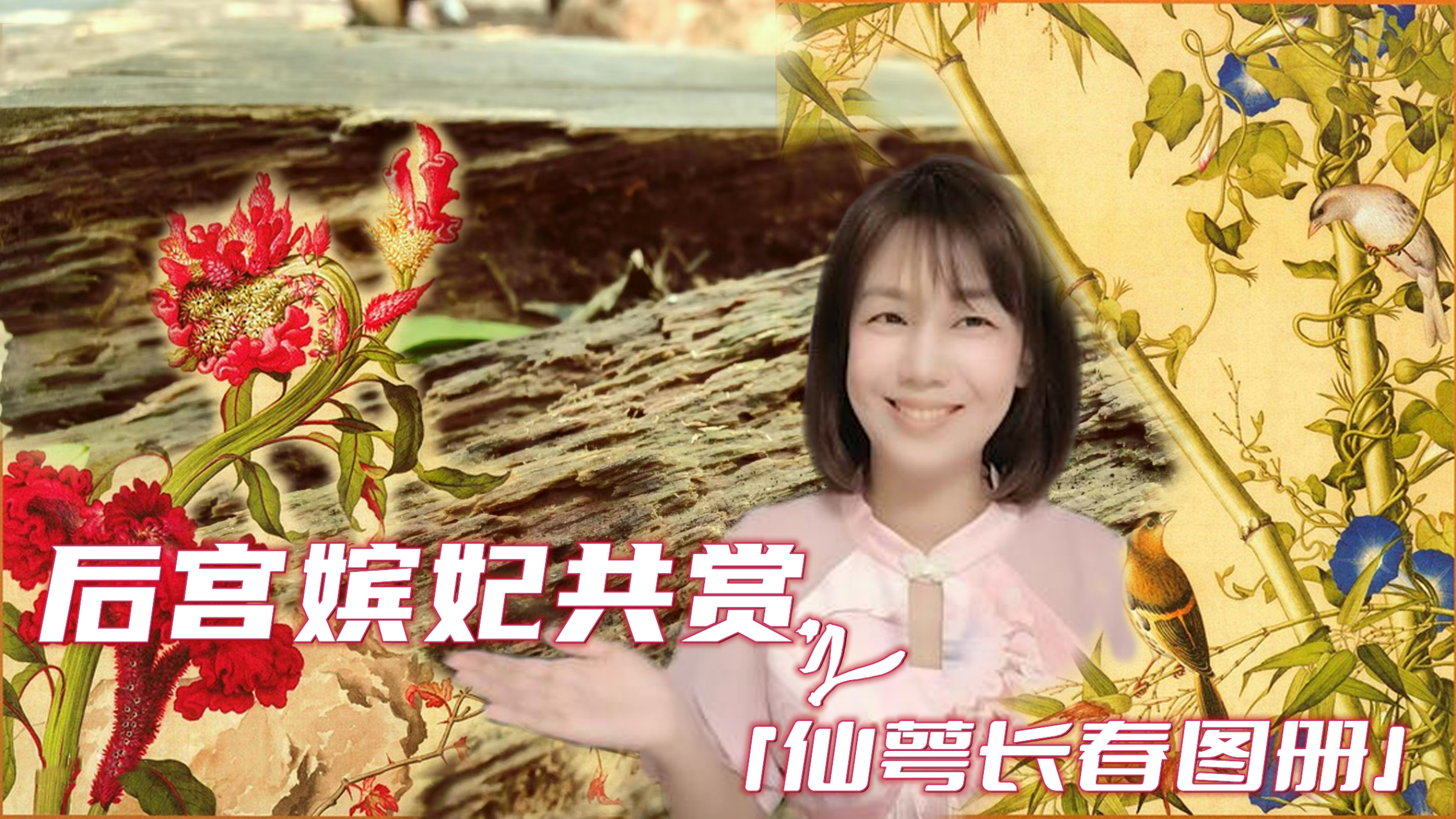 「供」后宫嫔妃欣赏的郎氏工笔重彩画——《仙萼长春图册》